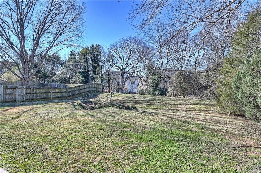 10313 Fairway Ridge Road Charlotte, NC 28277 - Photo 23 of 24