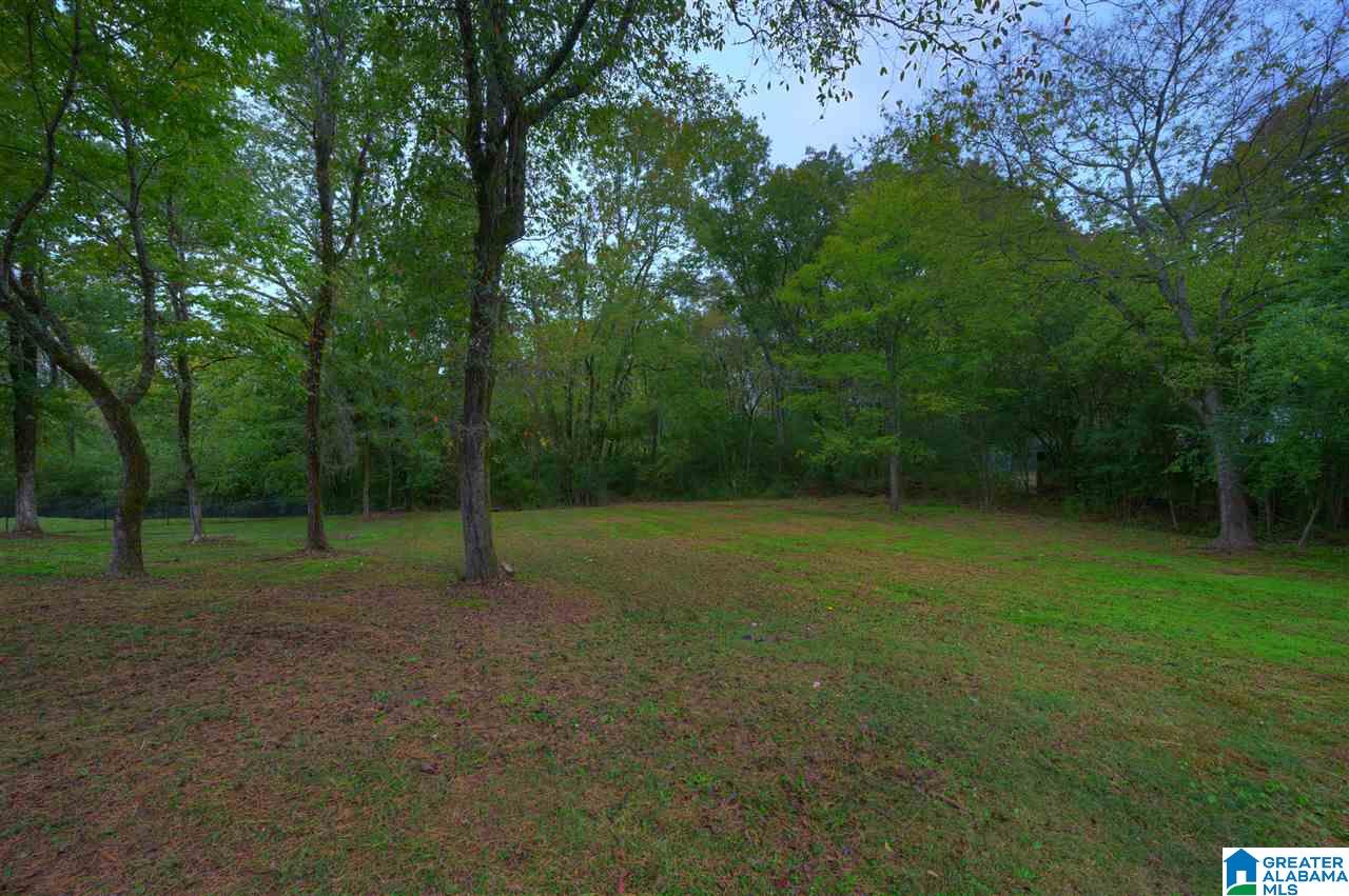 145 Duncan Drive Warrior, AL 35180 - Photo 20 of 22