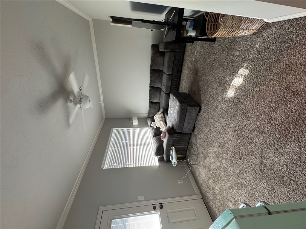 6967 Halter Loop College Station, TX 77845 - Photo 10 of 11