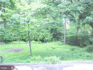 31 Green Valley Road Wallingford, PA 19086 - Photo 6 of 6