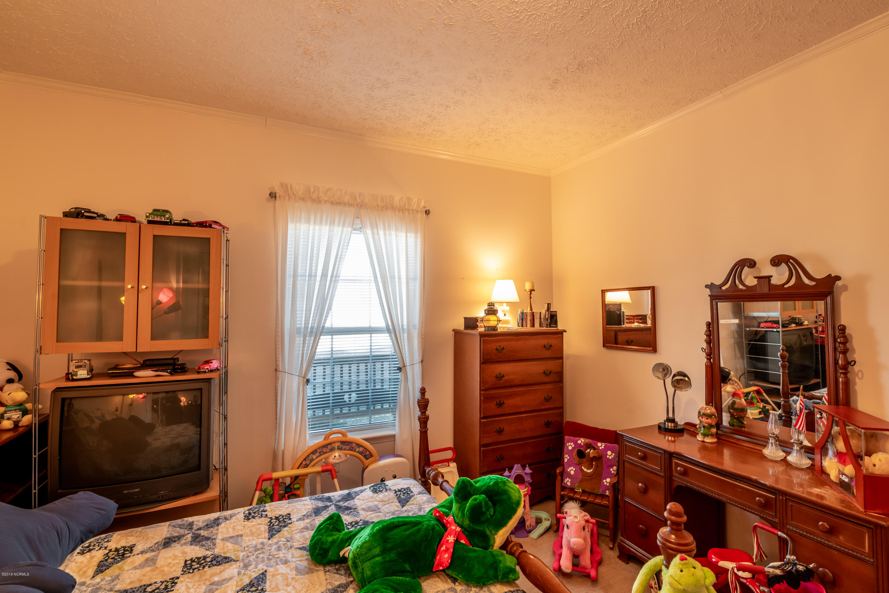 6141 Squirrel Den Road Bailey, NC 27807 - Photo 26 of 29 1st Bedroom