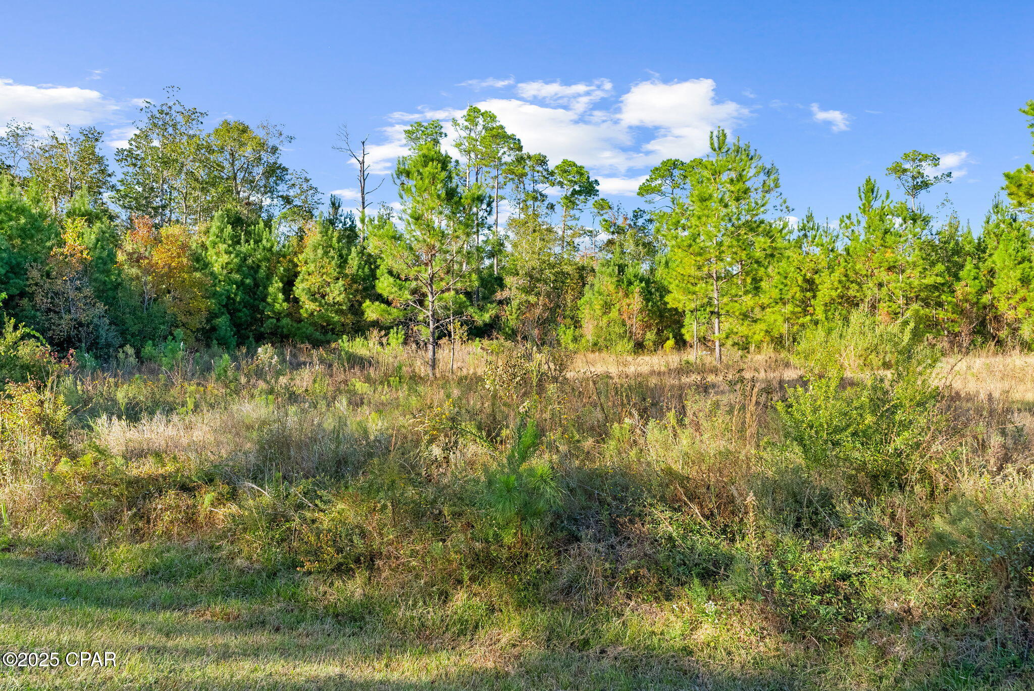 107 Pear Street Wewahitchka, FL 32465 - Photo 14 of 23