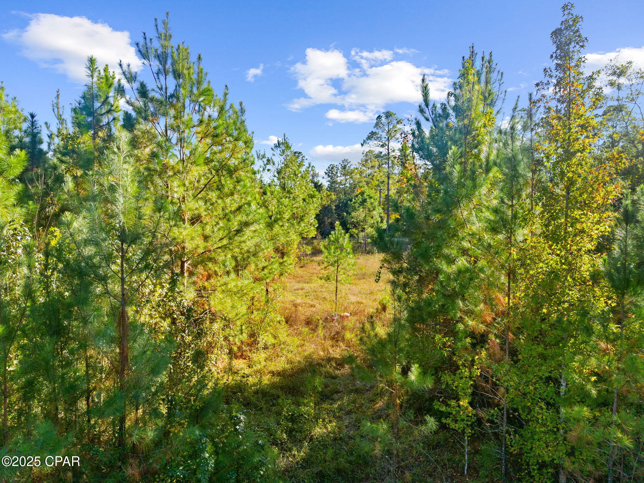 107 Pear Street Wewahitchka, FL 32465 - Photo 16 of 23