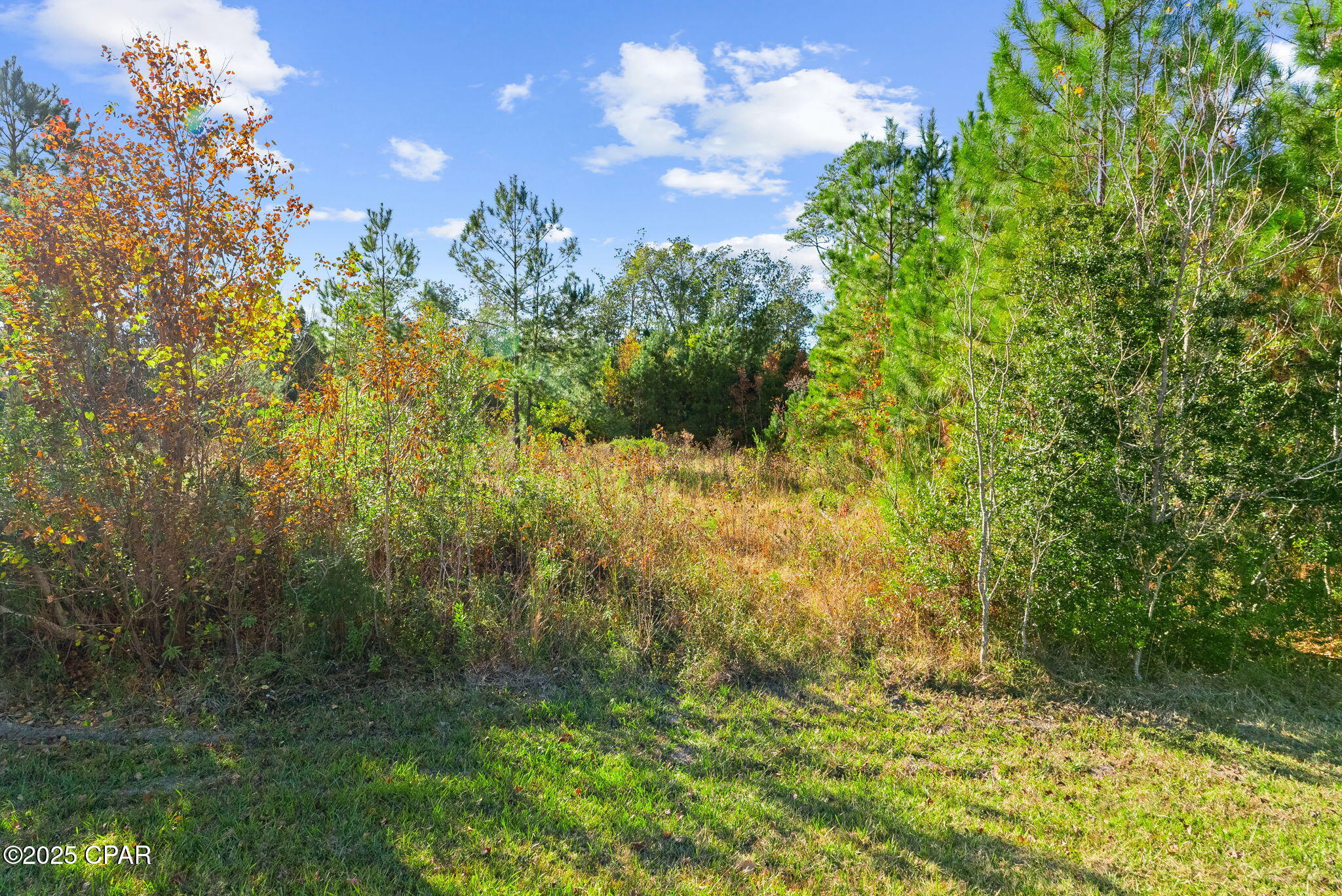 107 Pear Street Wewahitchka, FL 32465 - Photo 20 of 23