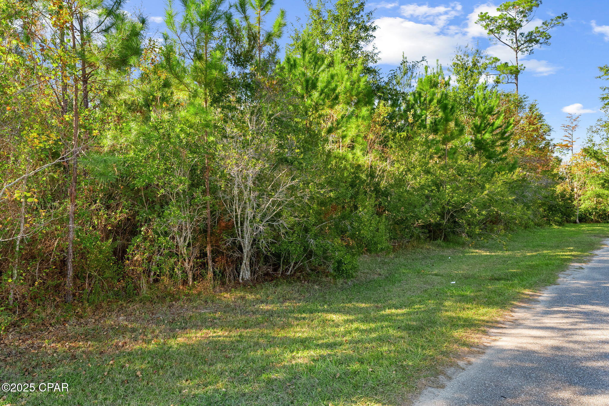 107 Pear Street Wewahitchka, FL 32465 - Photo 21 of 23