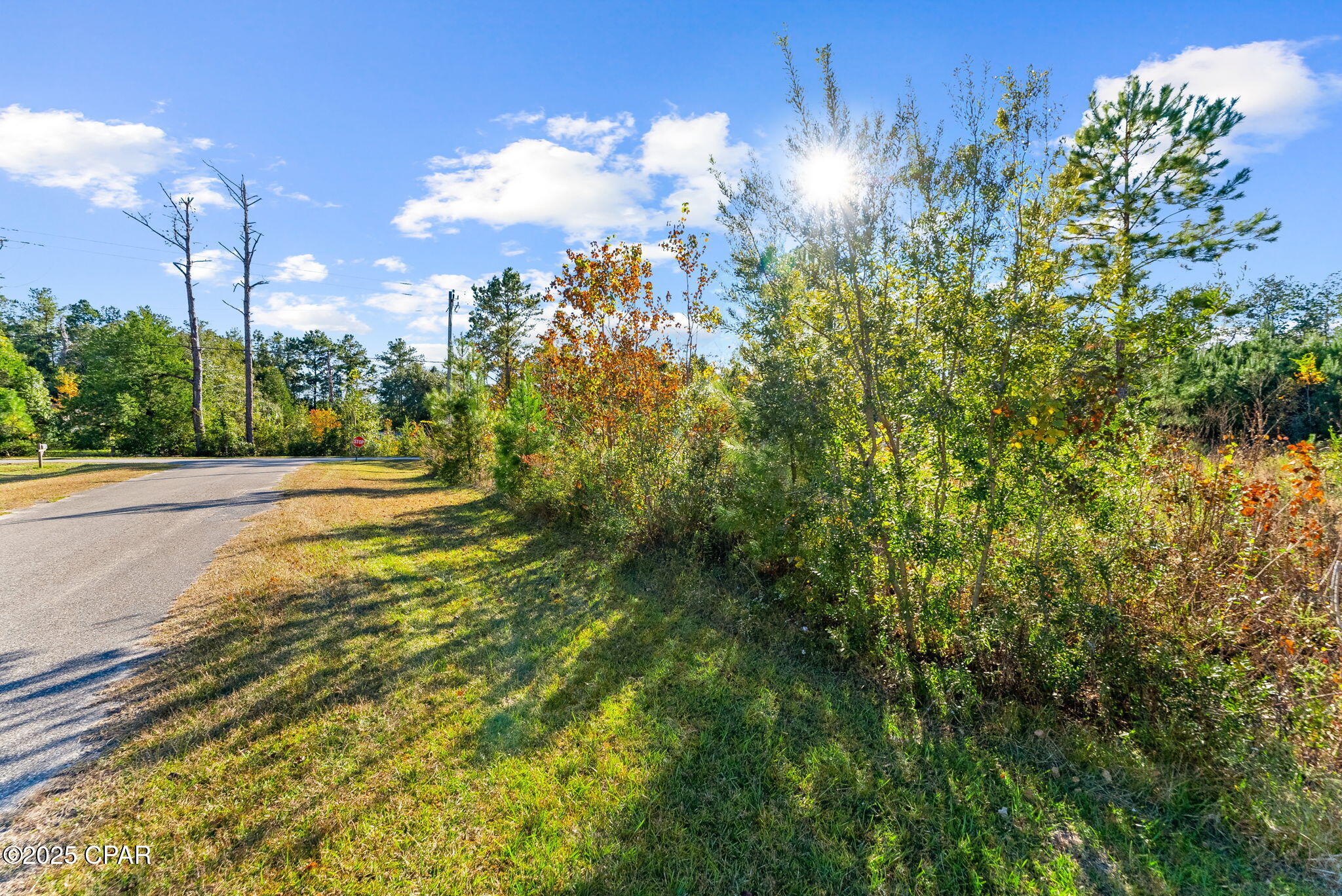107 Pear Street Wewahitchka, FL 32465 - Photo 9 of 23