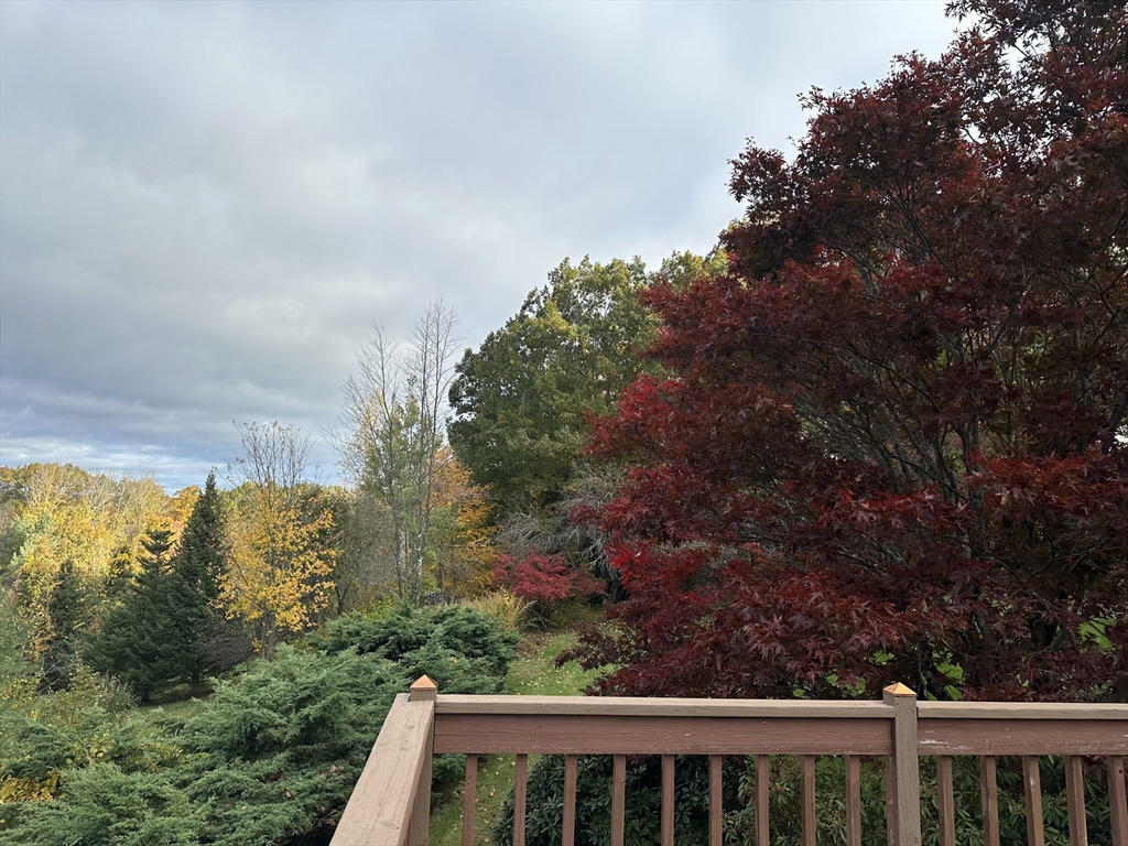 115 Gray Road Templeton, MA 01468 - Photo 31 of 40 a view of a yard