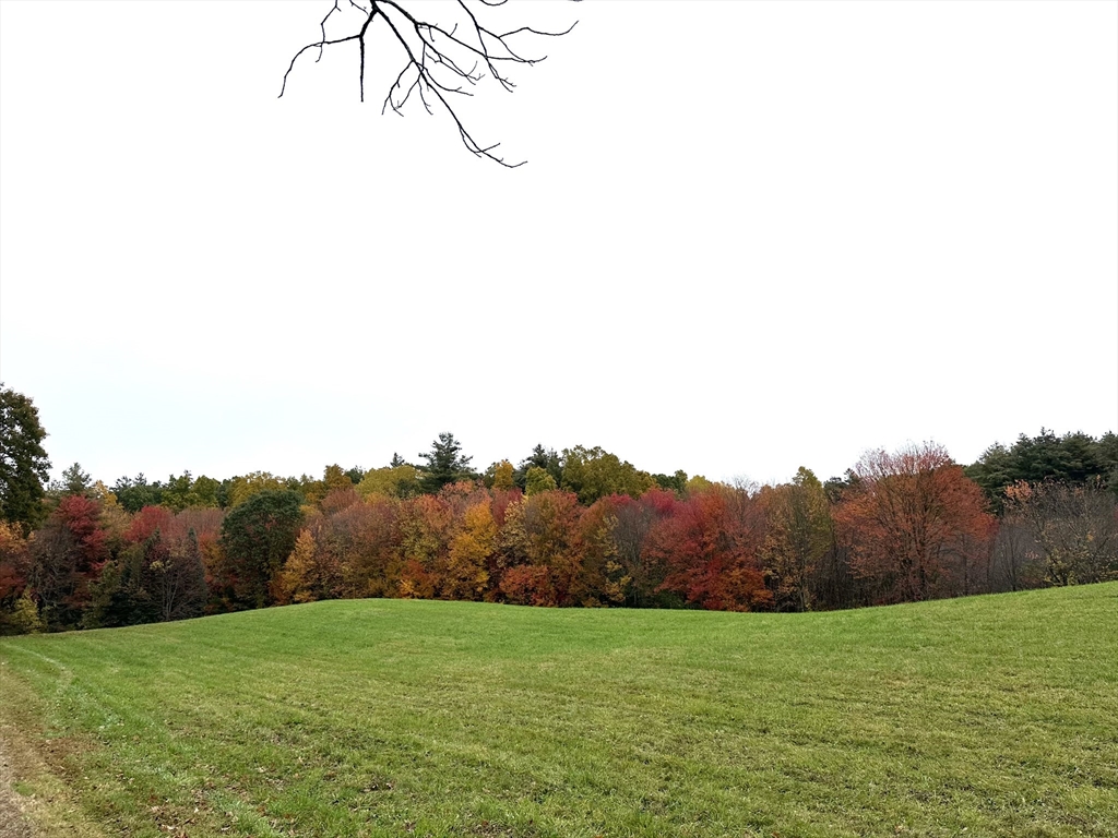 115 Gray Road Templeton, MA 01468 - Photo 36 of 40 a view of grassy field with mountain