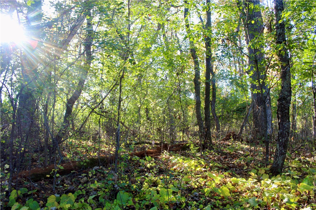 0 South Lowes Creek Road Eau Claire, WI 54701 - Photo 50 of 59