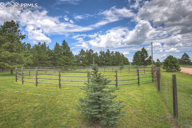 15440 Softwood Road Elbert, CO 80106 - Photo 11 of 47