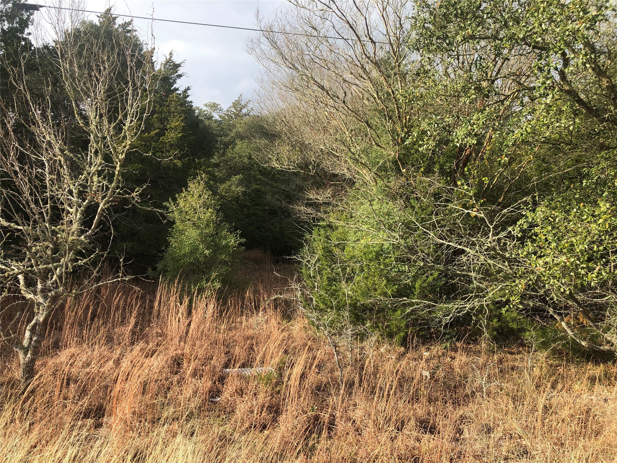 0 Sierra Road Brenham, TX 77833 - Photo 7 of 7 a view of a yard