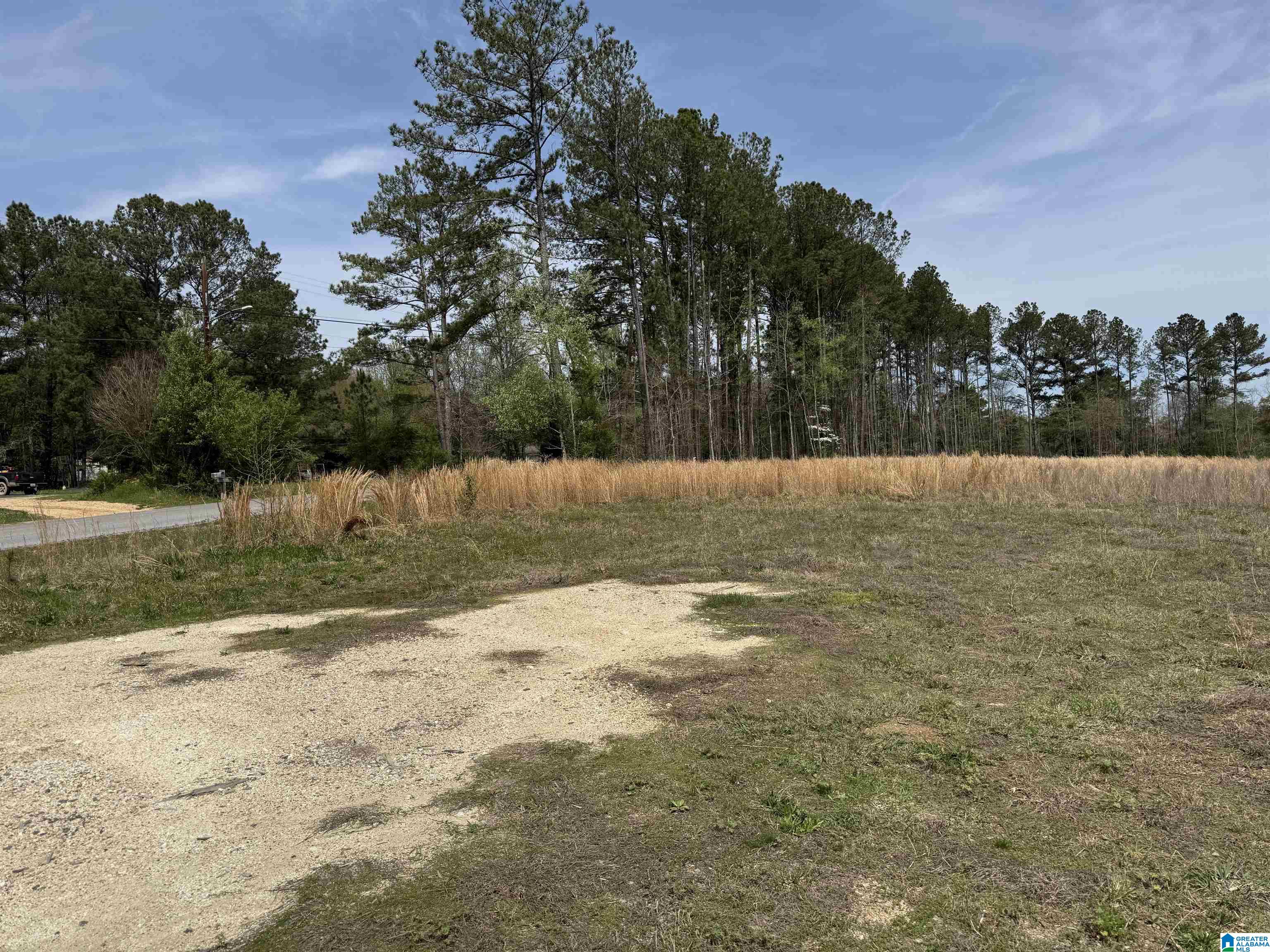 0 Greensport Road Ashville, AL 35953 - Photo 34 of 43