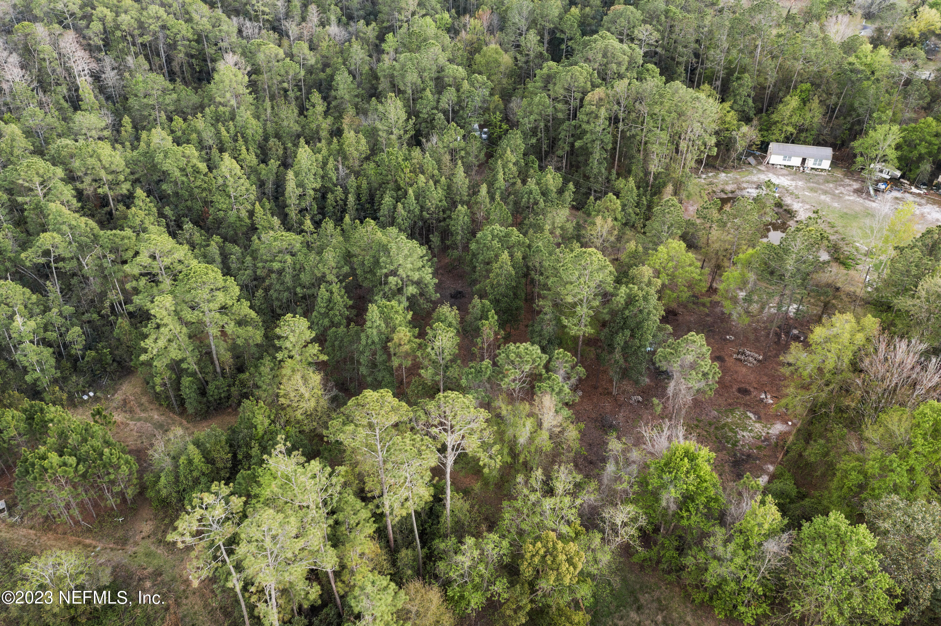 3580 Gill Road Middleburg, FL 32068 - Photo 4 of 11 DJI_0955