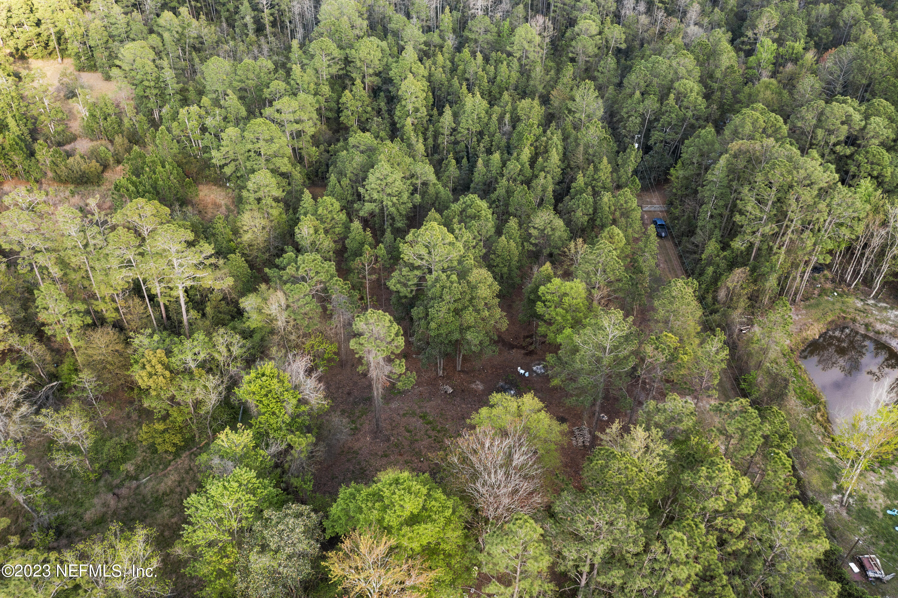 3580 Gill Road Middleburg, FL 32068 - Photo 5 of 11 DJI_0956