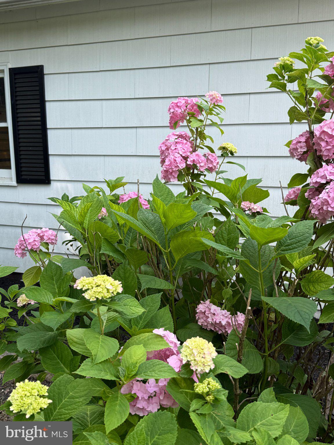 2912 Old Mountain Road South Joppa, MD 21085 - Photo 50 of 65