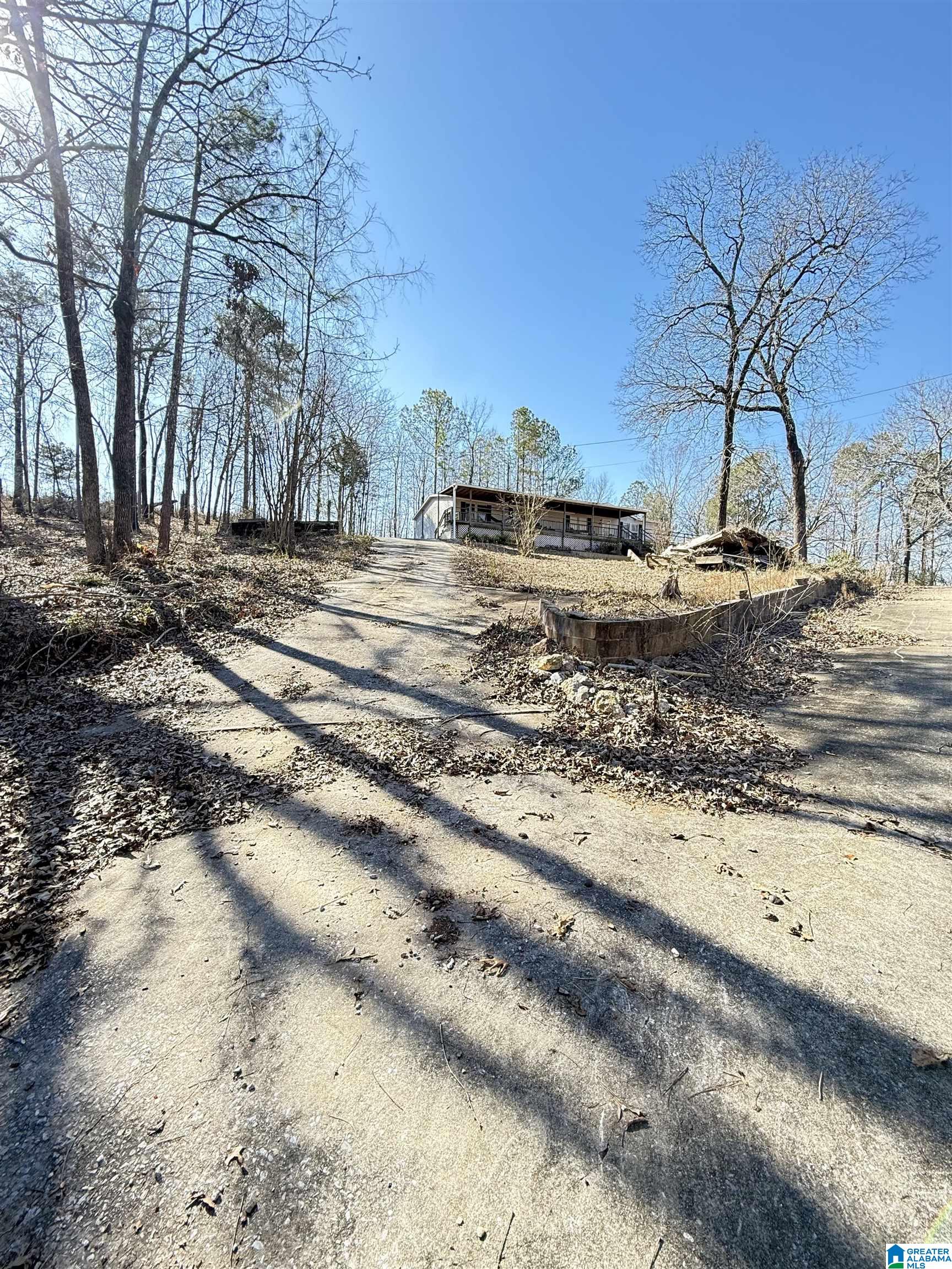 295 Country Lane Talladega, AL 35160 - Photo 5 of 42