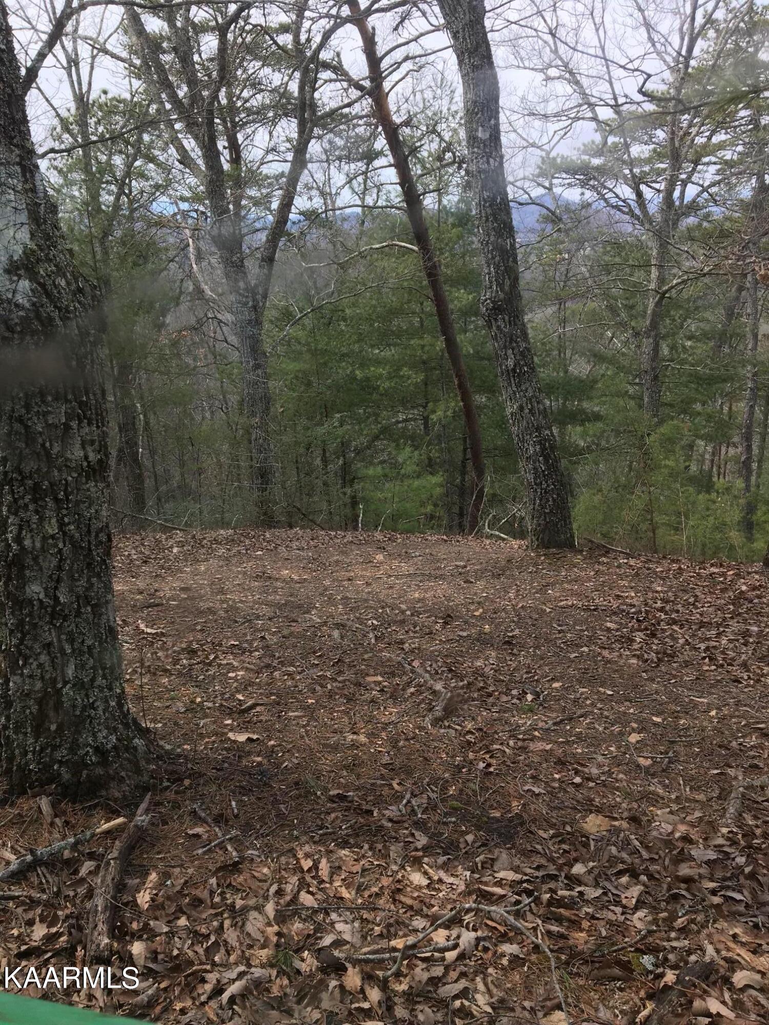 North Ball Hollow Road Sevierville, TN 37876 - Photo 1 of 38 IMG_3028(1)