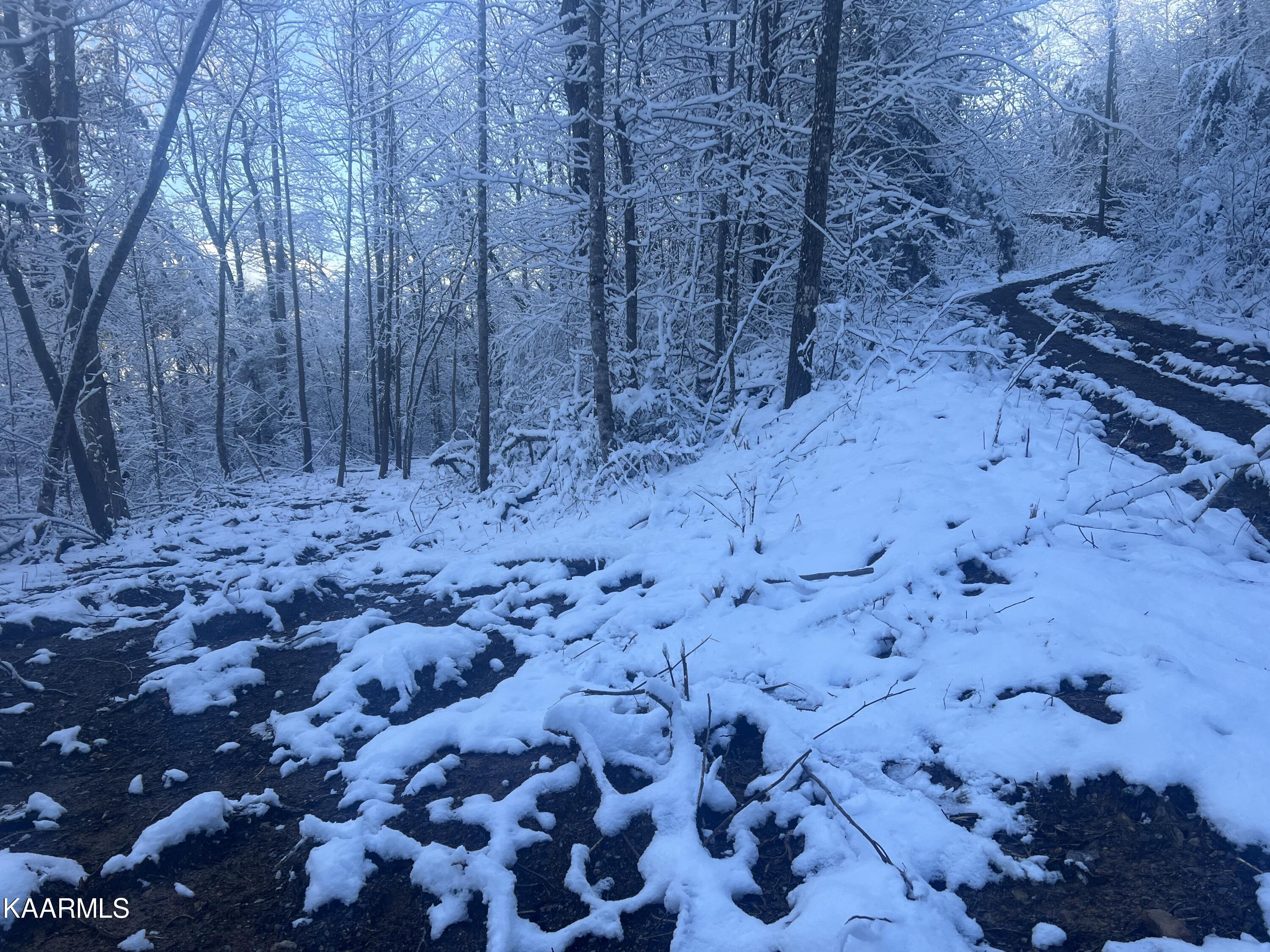 North Ball Hollow Road Sevierville, TN 37876 - Photo 11 of 38 IMG_3054