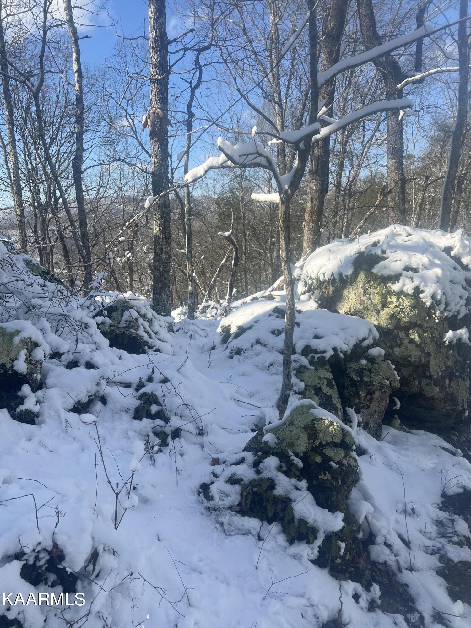 North Ball Hollow Road Sevierville, TN 37876 - Photo 12 of 38 IMG_3038