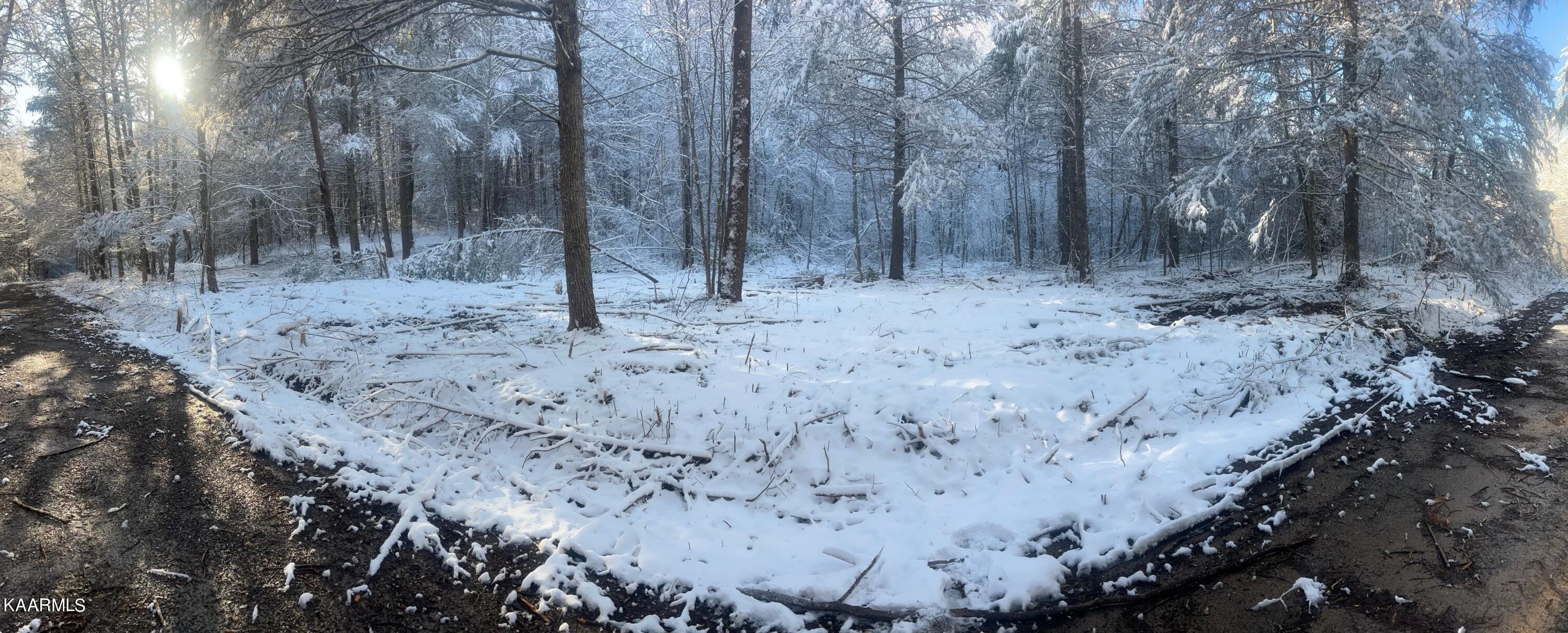 North Ball Hollow Road Sevierville, TN 37876 - Photo 13 of 38 IMG_3045