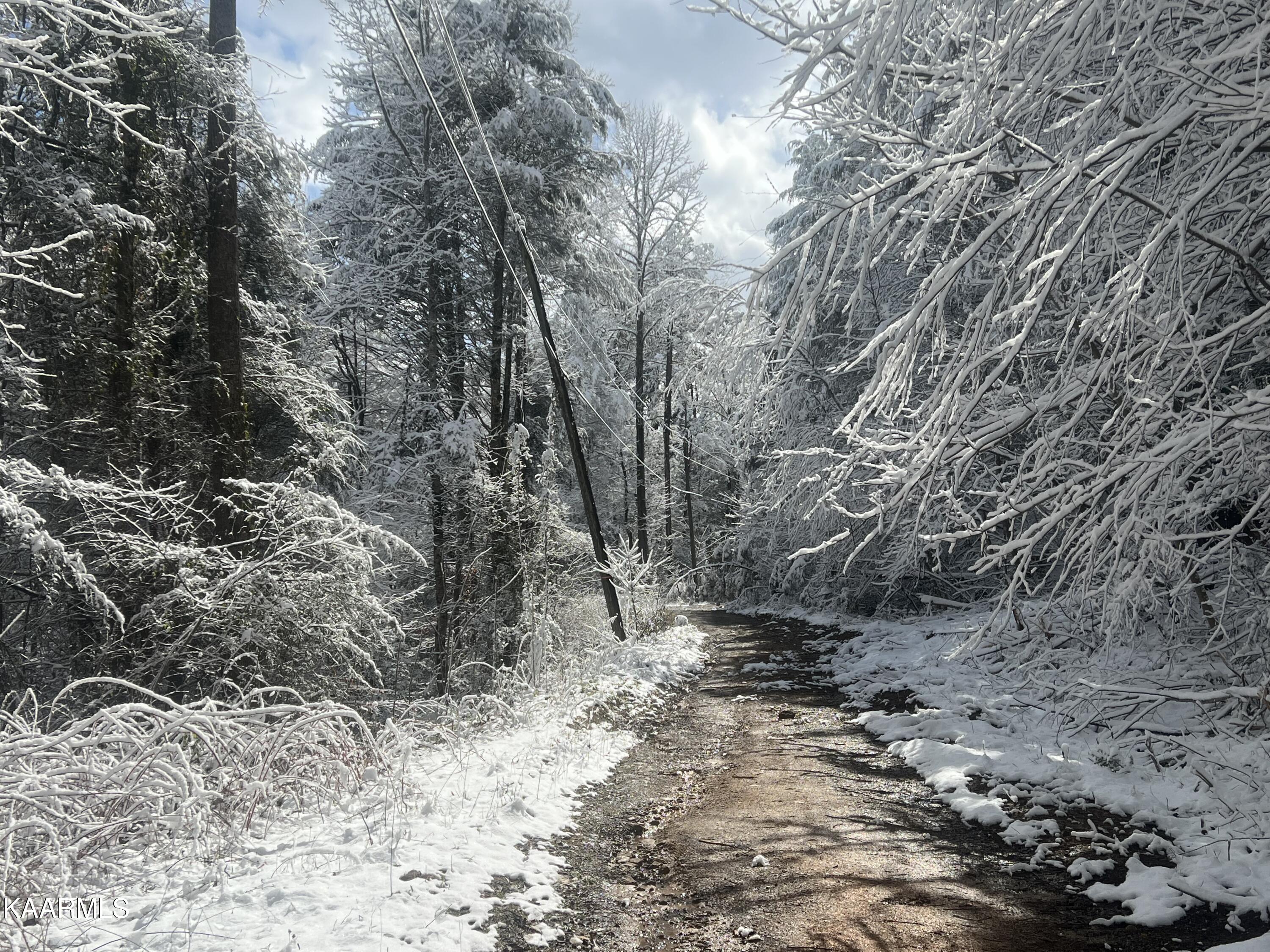 North Ball Hollow Road Sevierville, TN 37876 - Photo 14 of 38 IMG_3059