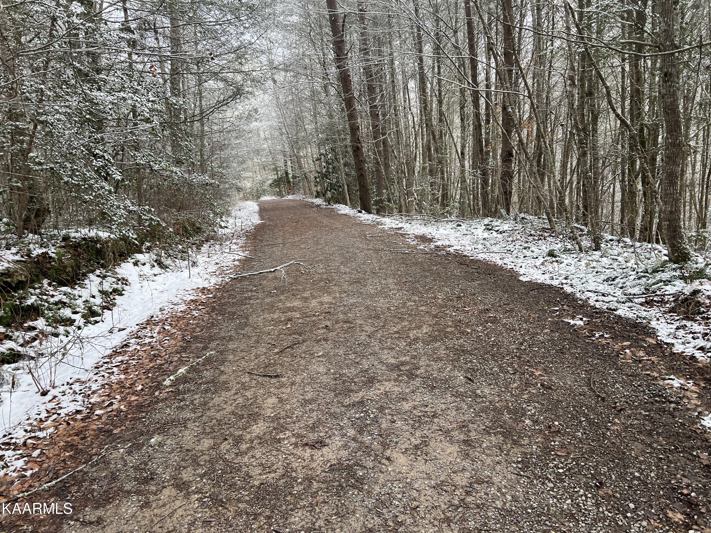 North Ball Hollow Road Sevierville, TN 37876 - Photo 15 of 38 IMG_3034