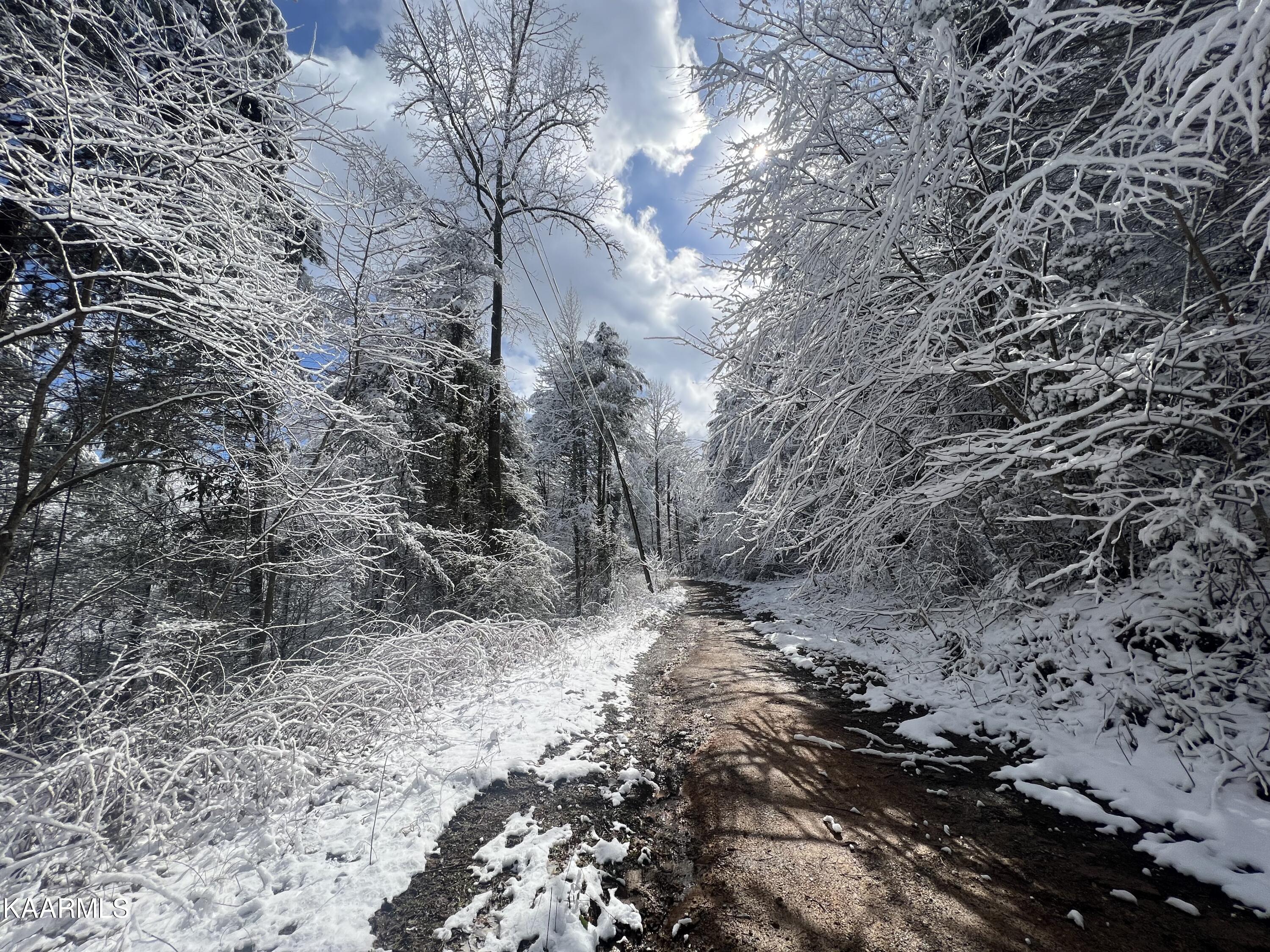 North Ball Hollow Road Sevierville, TN 37876 - Photo 16 of 38 IMG_3027