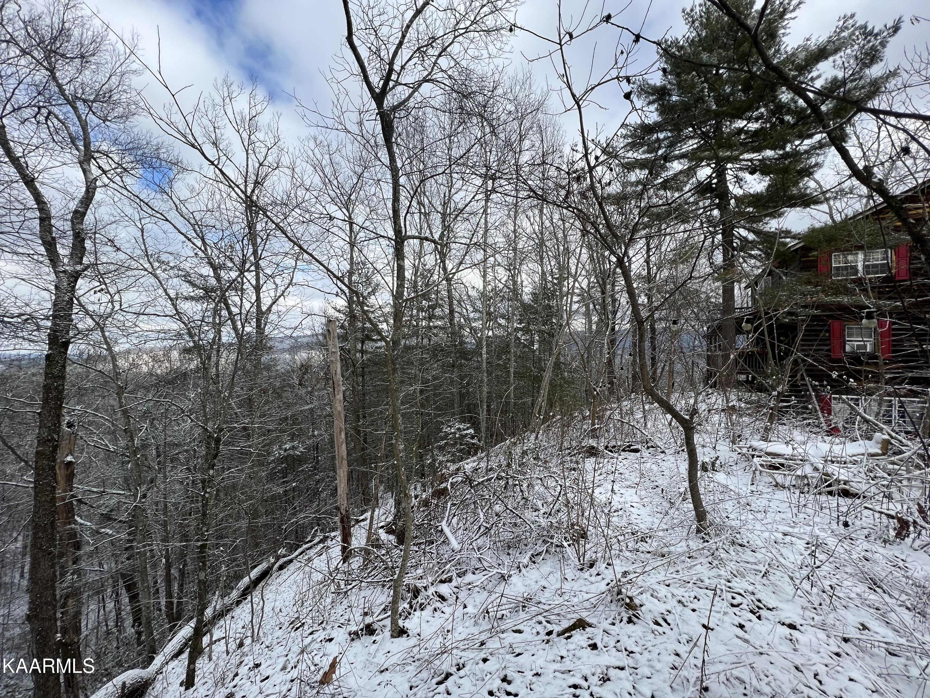 North Ball Hollow Road Sevierville, TN 37876 - Photo 17 of 38 IMG_3031