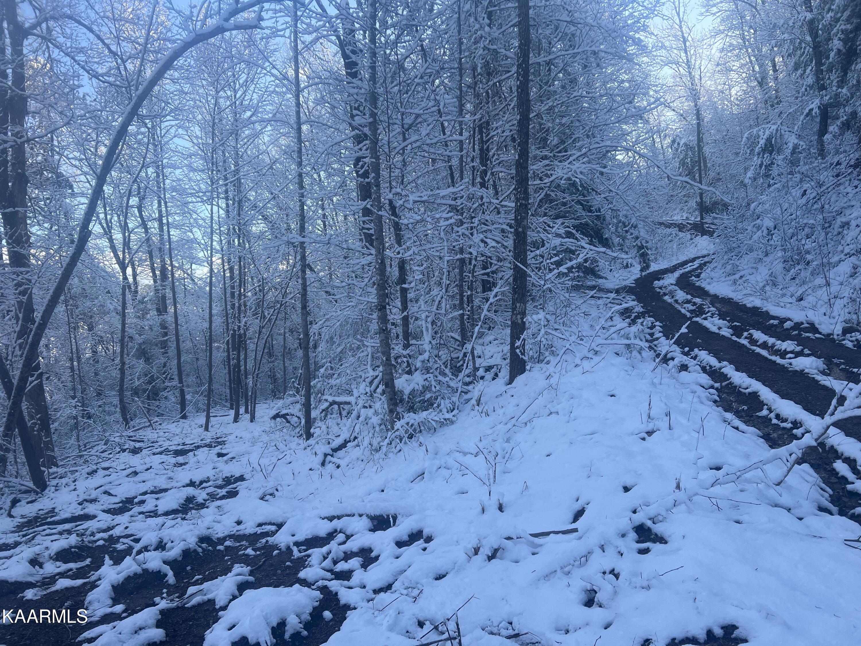 North Ball Hollow Road Sevierville, TN 37876 - Photo 18 of 38 IMG_3024