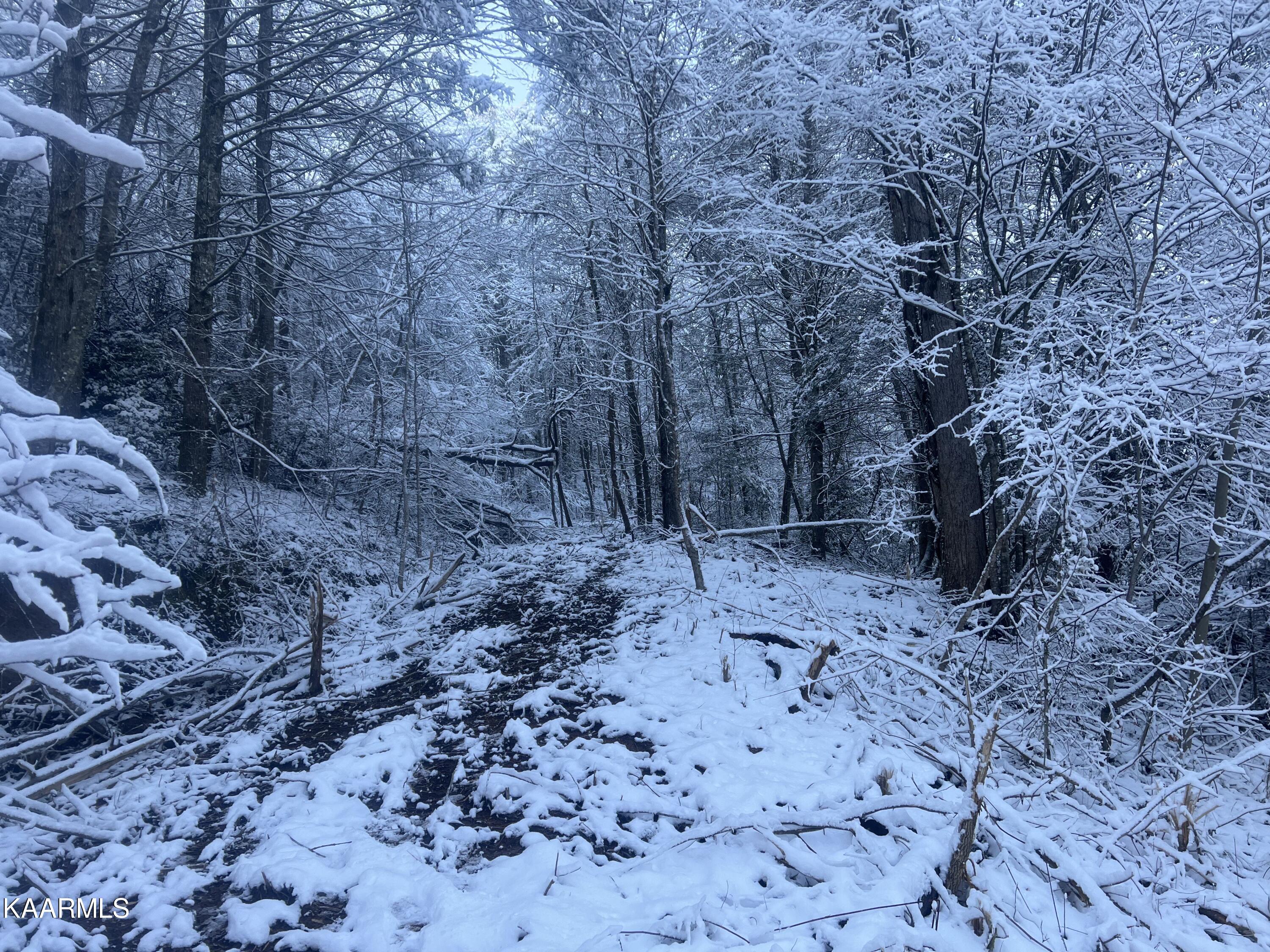 North Ball Hollow Road Sevierville, TN 37876 - Photo 19 of 38 IMG_3035