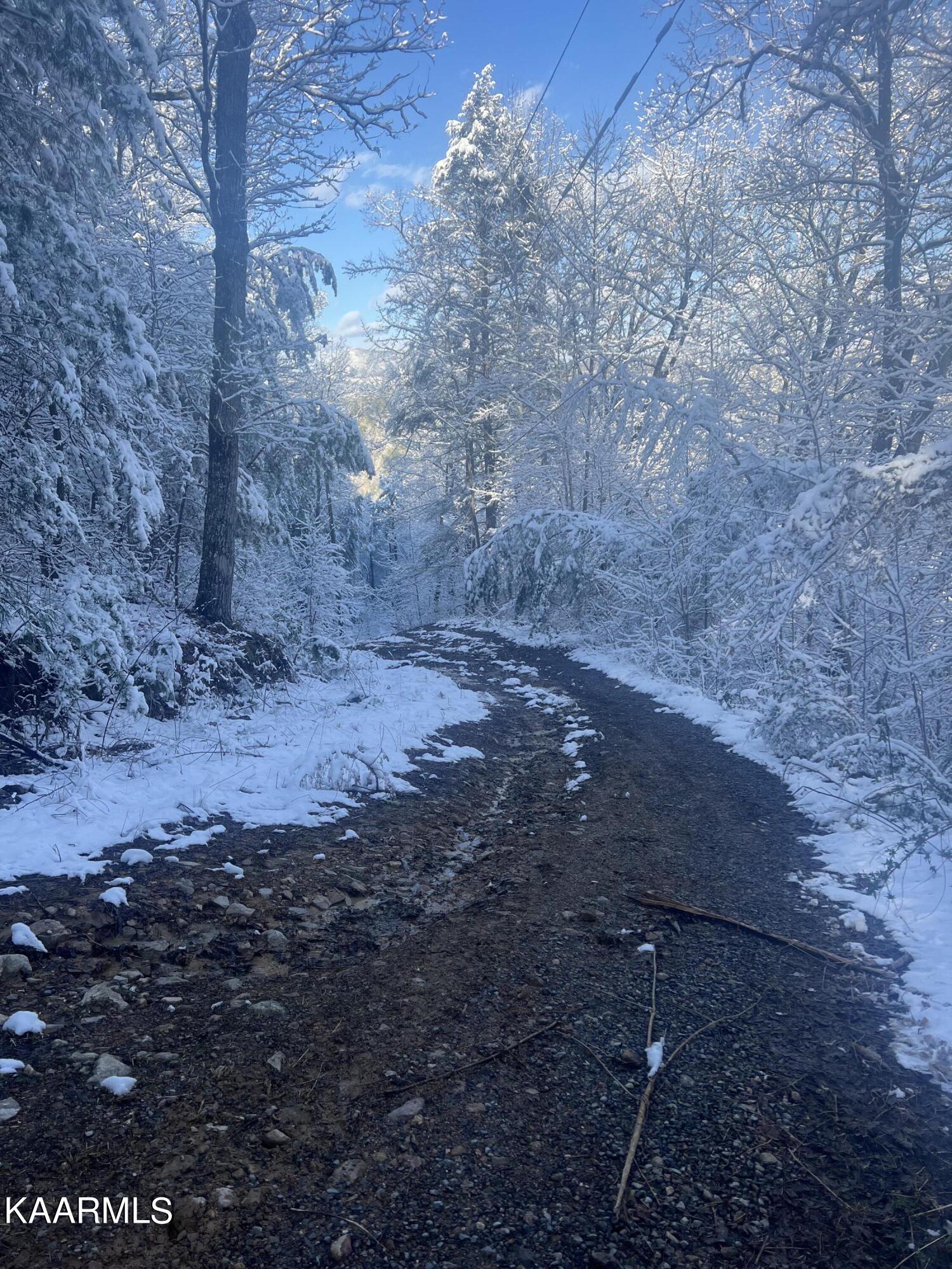 North Ball Hollow Road Sevierville, TN 37876 - Photo 20 of 38 IMG_3041