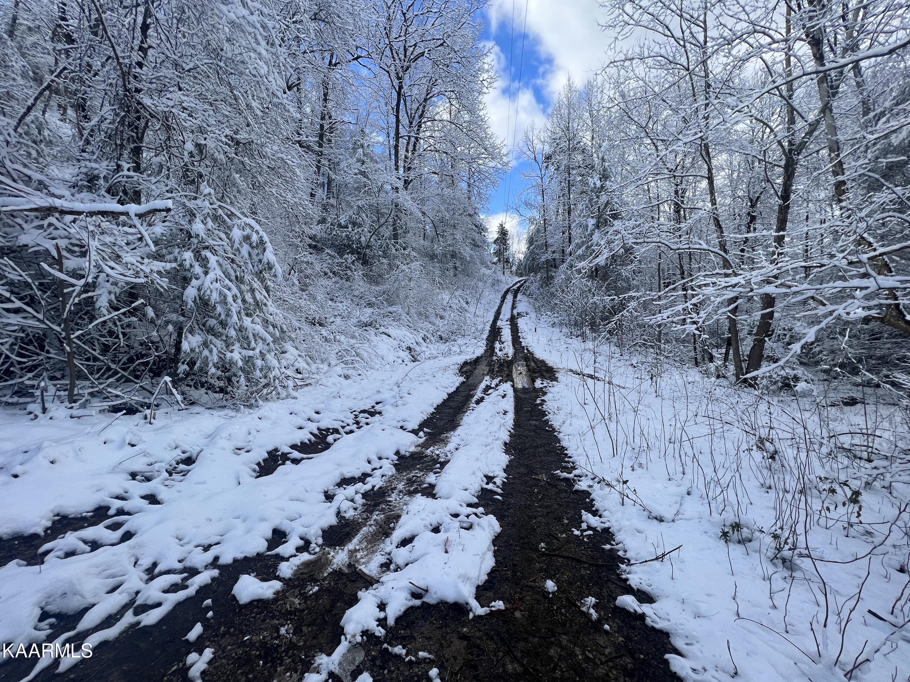 North Ball Hollow Road Sevierville, TN 37876 - Photo 21 of 38 IMG_3048