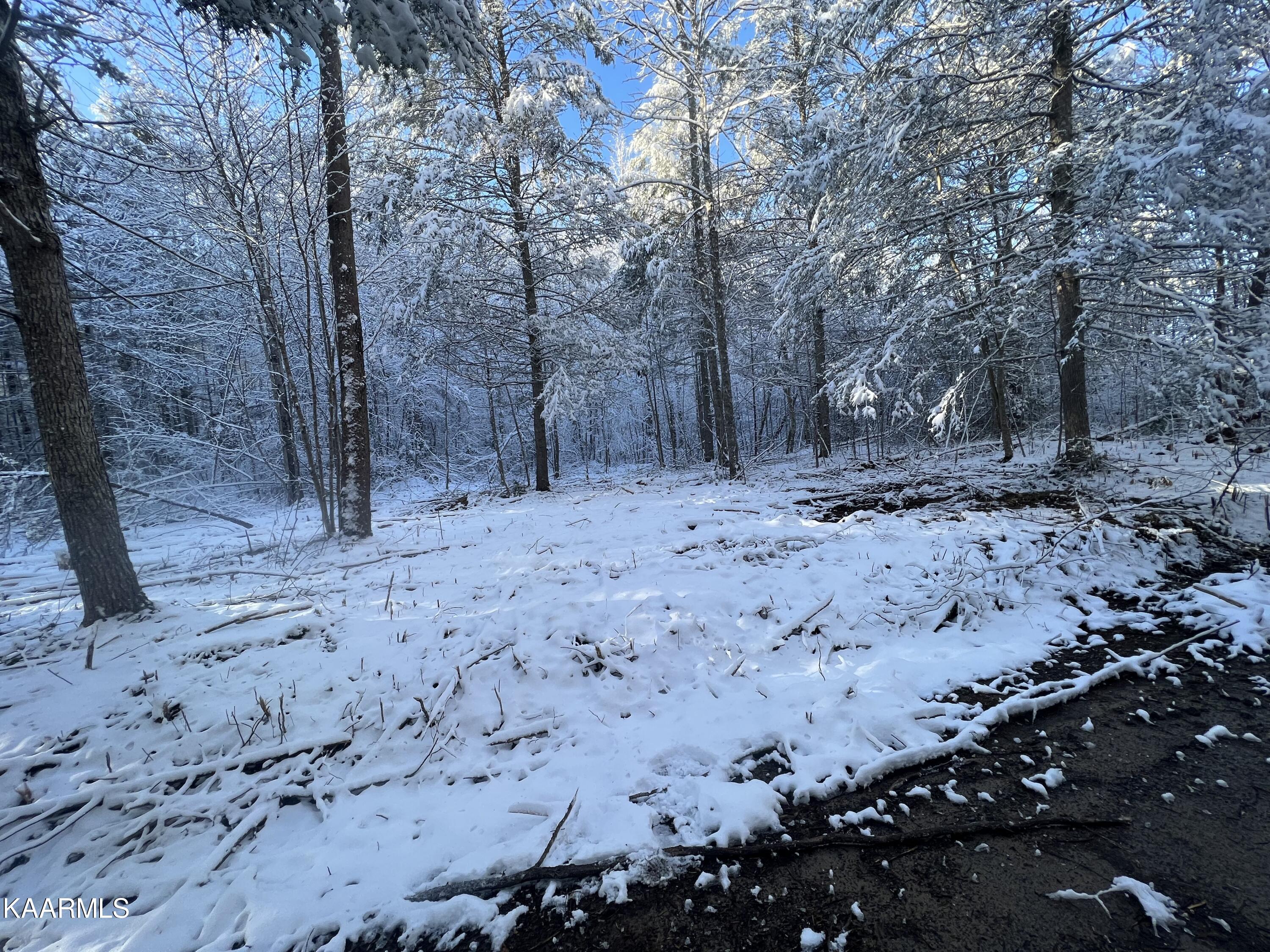 North Ball Hollow Road Sevierville, TN 37876 - Photo 22 of 38 IMG_3051