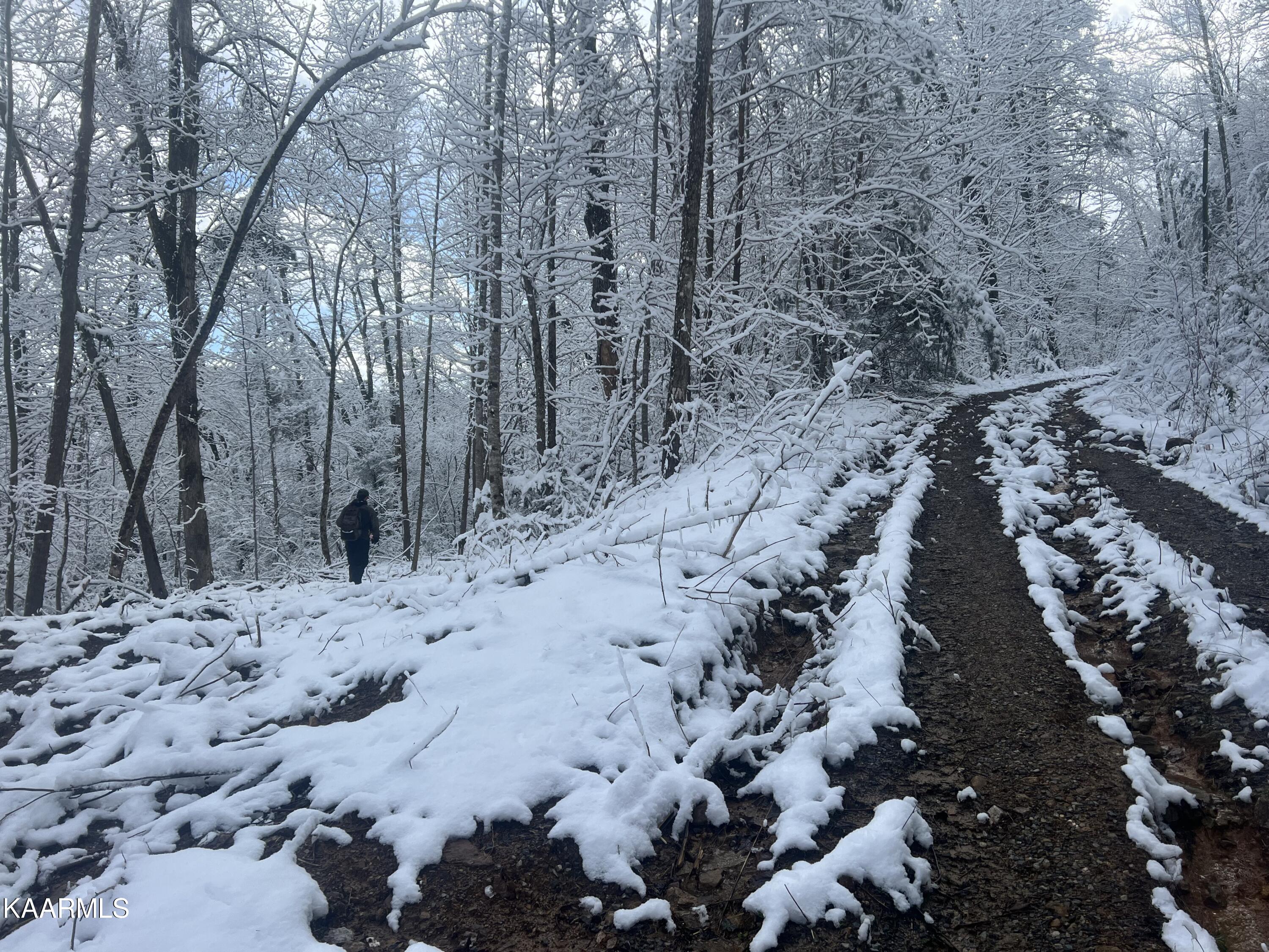 North Ball Hollow Road Sevierville, TN 37876 - Photo 27 of 38 IMG_3029
