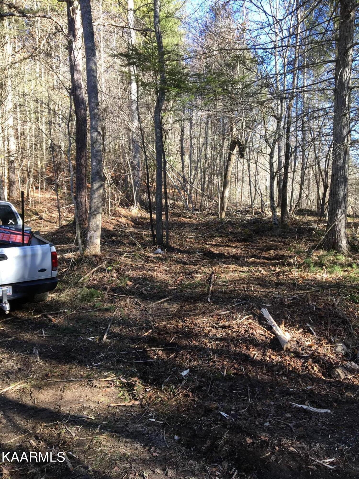 North Ball Hollow Road Sevierville, TN 37876 - Photo 28 of 38 IMG_3025