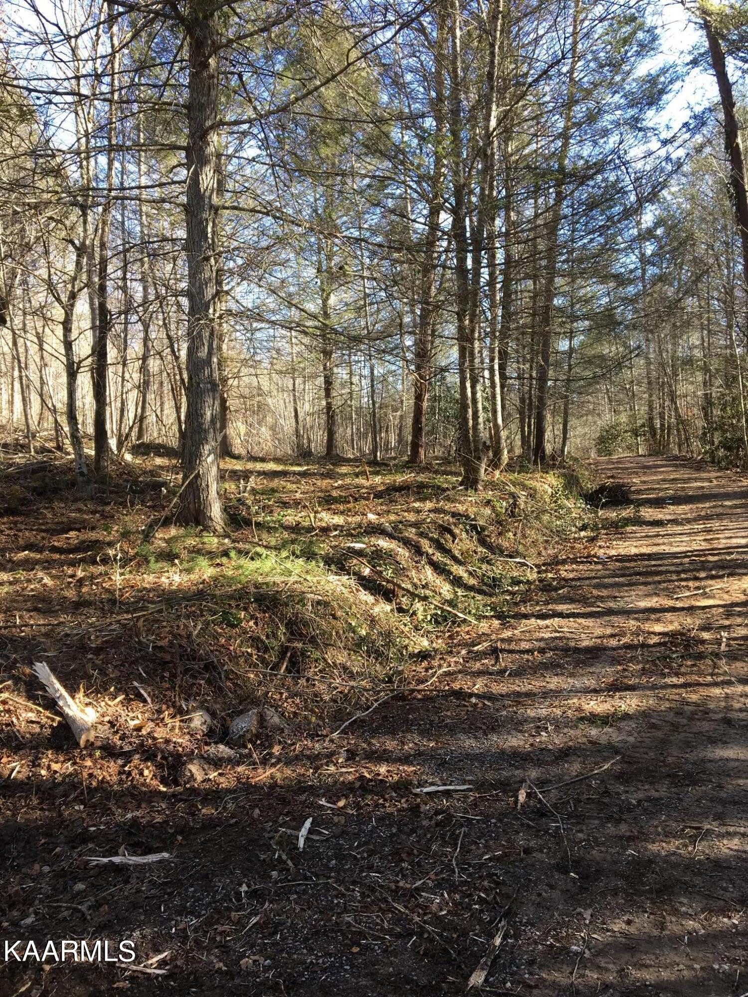 North Ball Hollow Road Sevierville, TN 37876 - Photo 29 of 38 IMG_3049