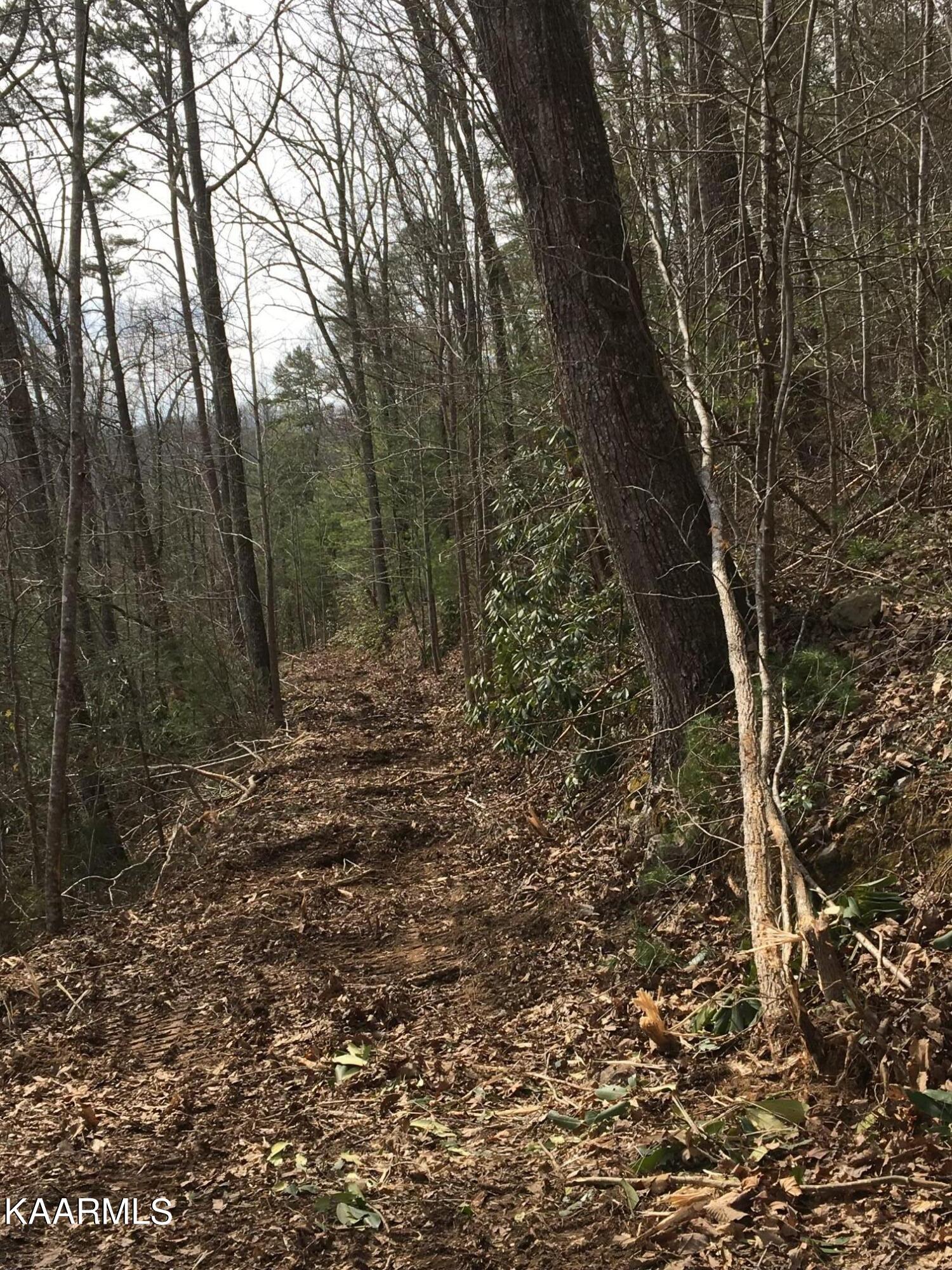 North Ball Hollow Road Sevierville, TN 37876 - Photo 30 of 38 IMG_3052