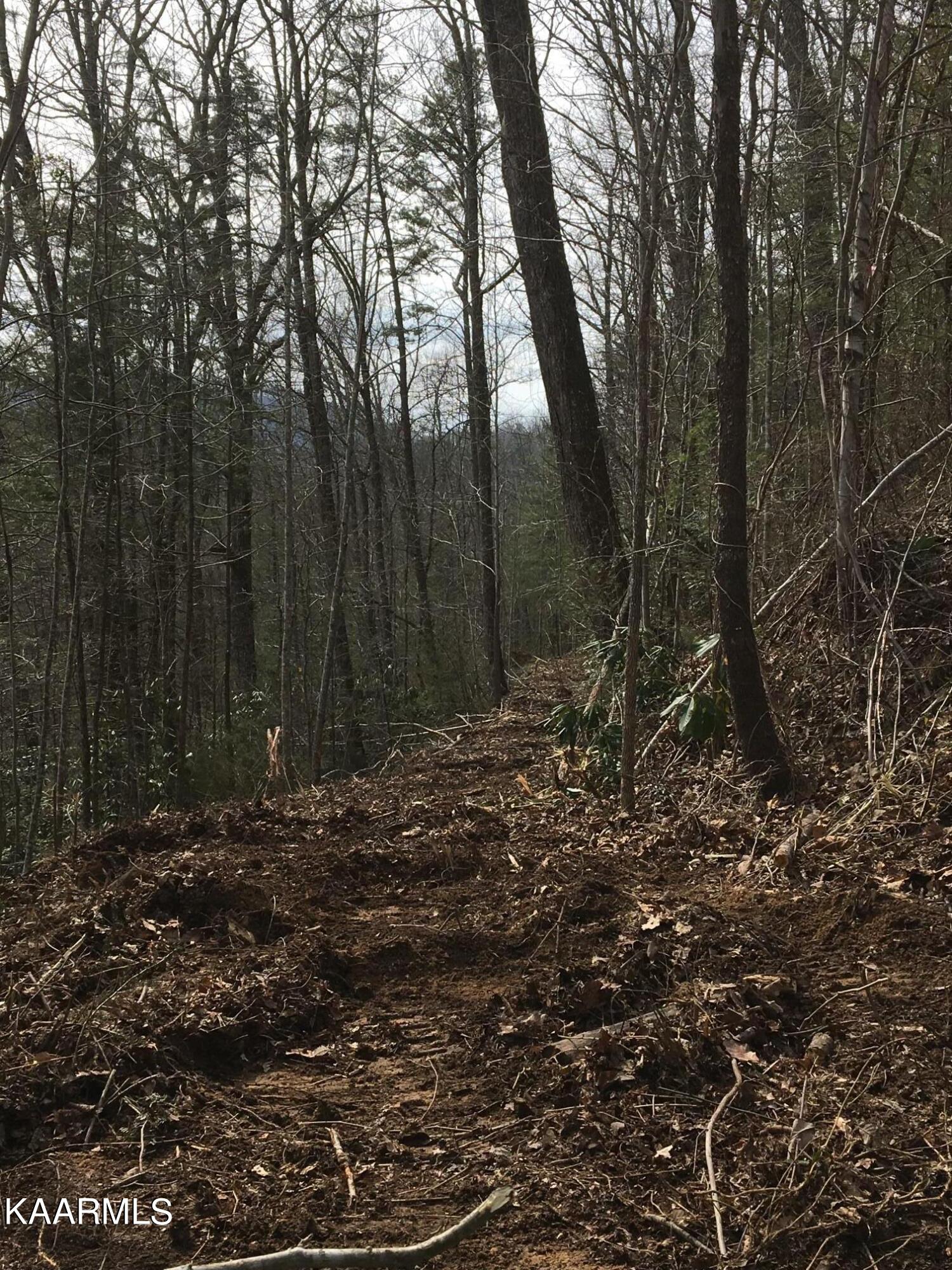 North Ball Hollow Road Sevierville, TN 37876 - Photo 31 of 38 IMG_3055