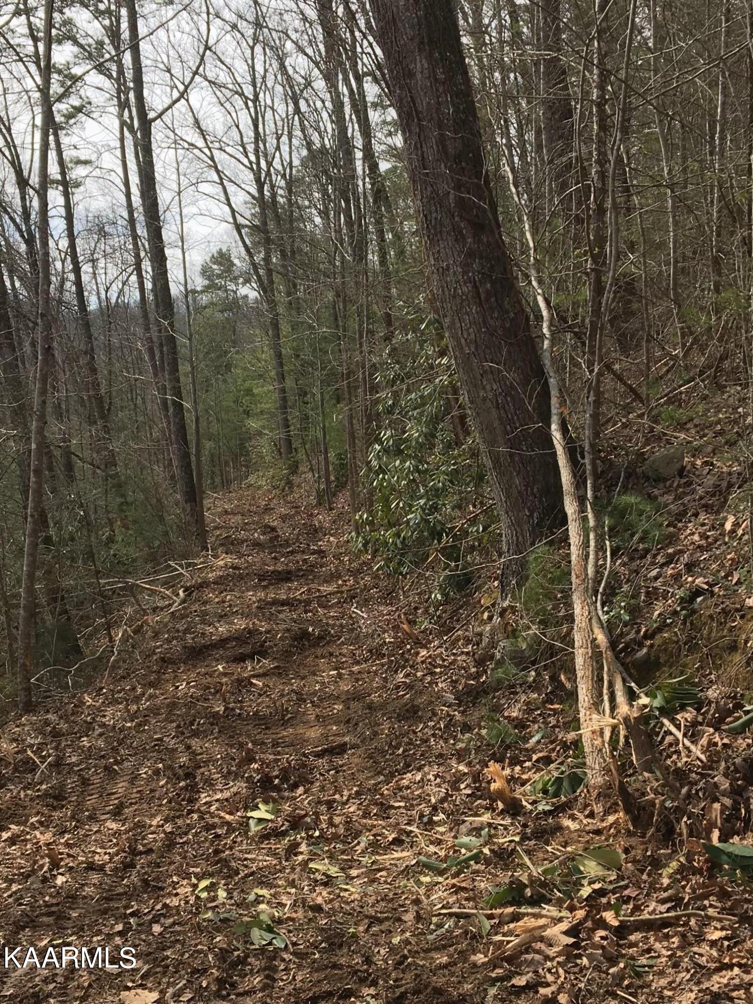 North Ball Hollow Road Sevierville, TN 37876 - Photo 32 of 38 IMG_5677