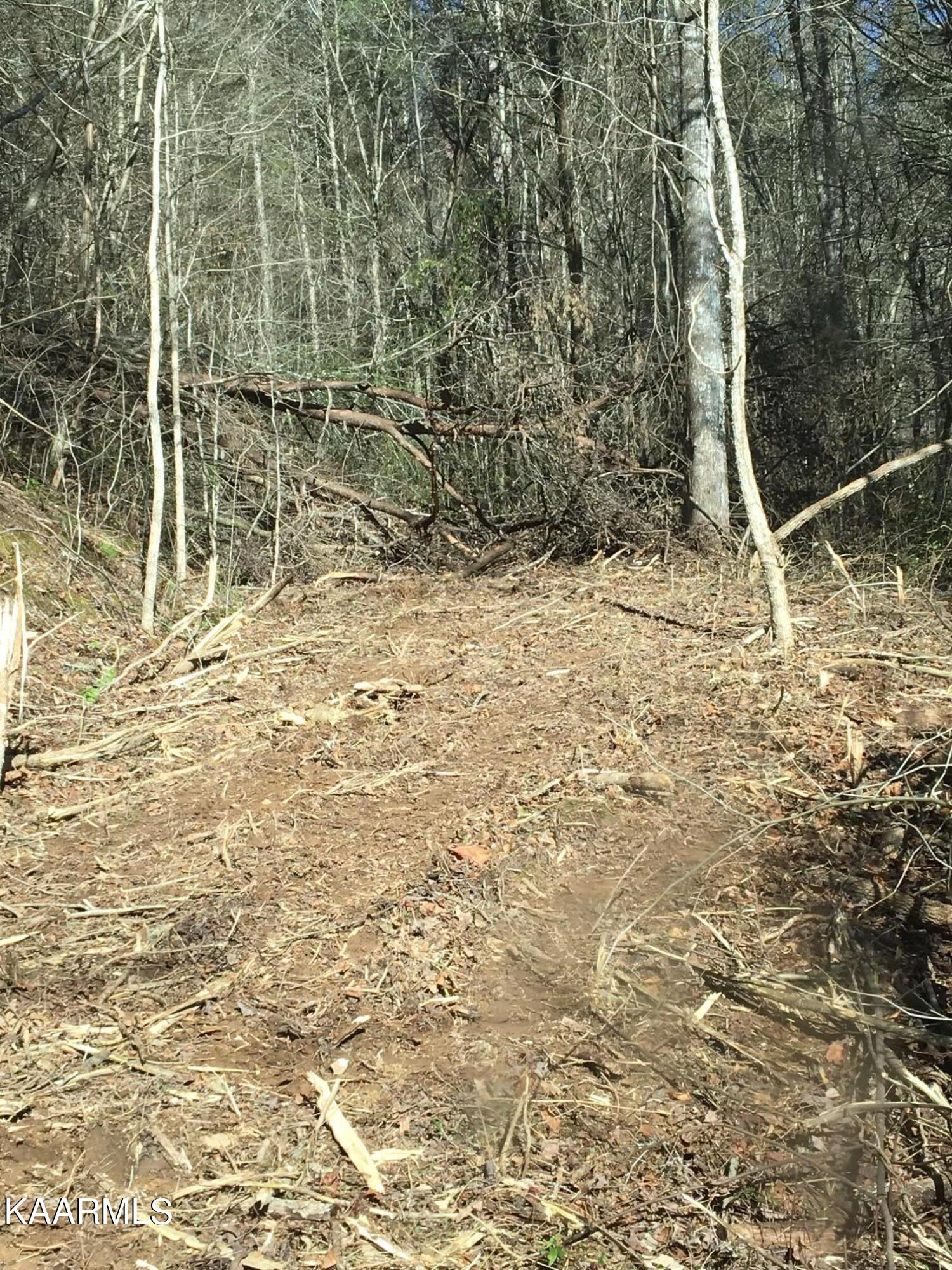 North Ball Hollow Road Sevierville, TN 37876 - Photo 35 of 38 IMG_3057