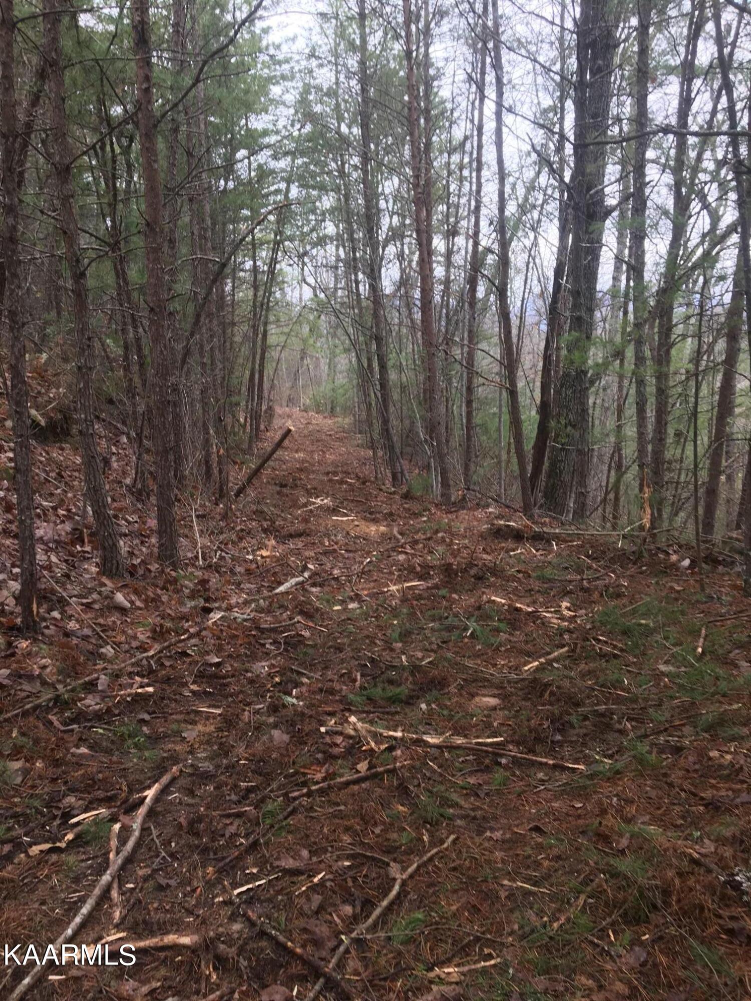 North Ball Hollow Road Sevierville, TN 37876 - Photo 36 of 38 IMG_5579(1)