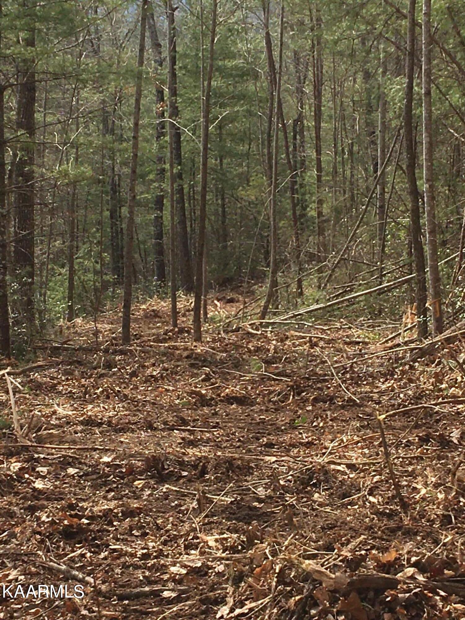 North Ball Hollow Road Sevierville, TN 37876 - Photo 37 of 38 IMG_5674