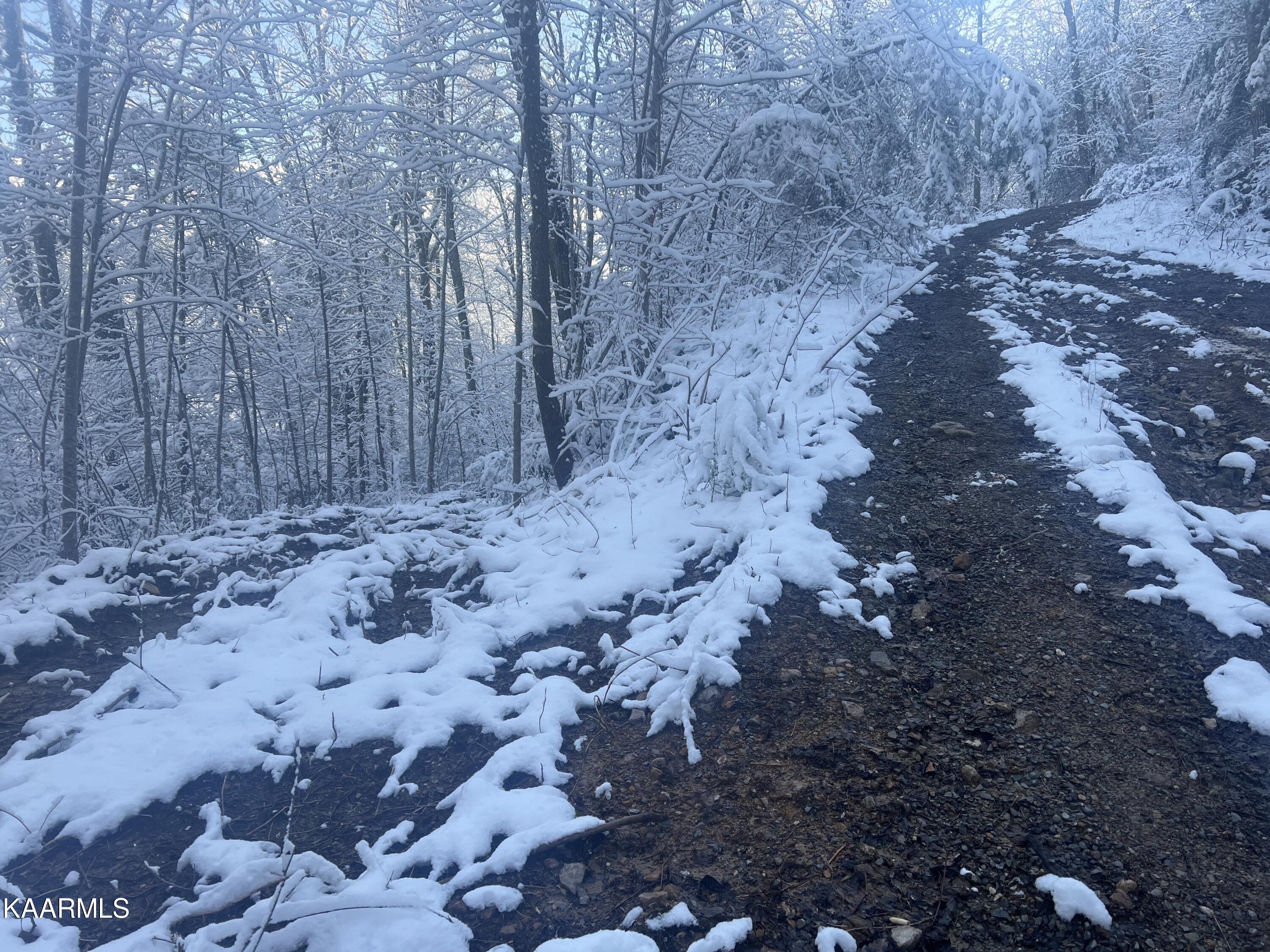 North Ball Hollow Road Sevierville, TN 37876 - Photo 7 of 38 IMG_3015