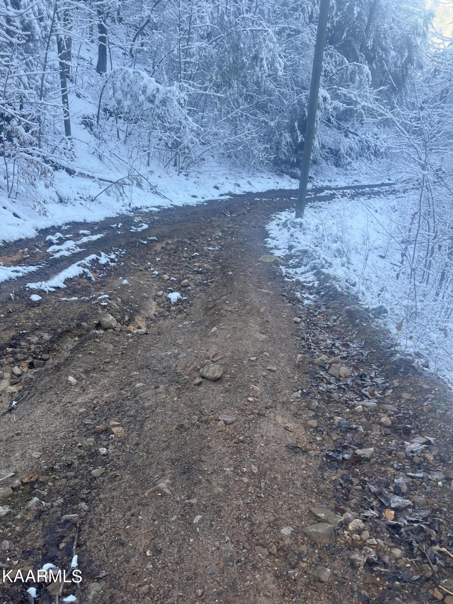 North Ball Hollow Road Sevierville, TN 37876 - Photo 8 of 38 IMG_3018