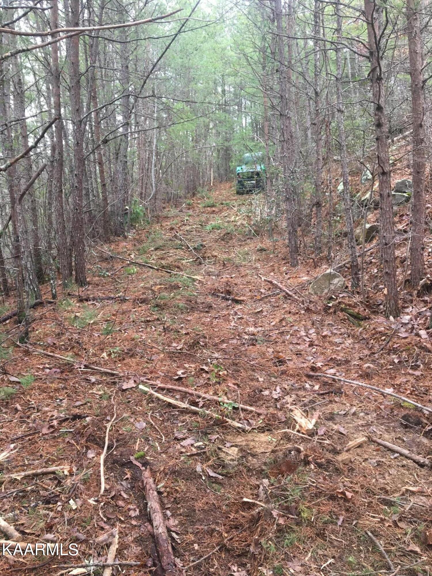 North Ball Hollow Road Sevierville, TN 37876 - Photo 9 of 38 IMG_3019