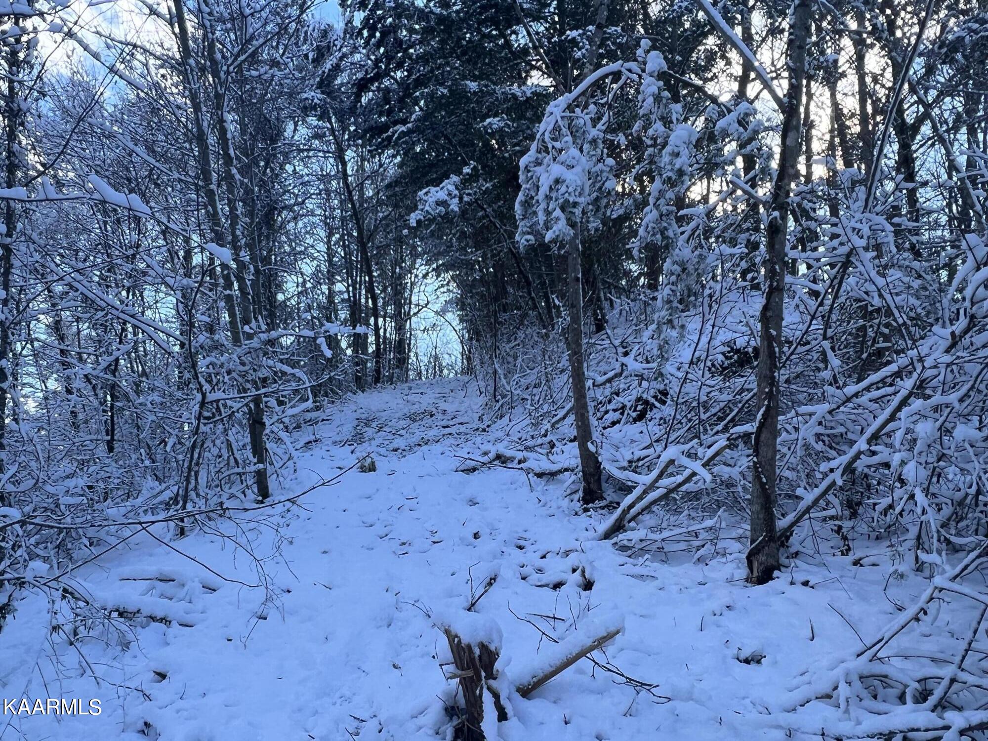 North Ball Hollow Road Sevierville, TN 37876 - Photo 10 of 38 IMG_3032