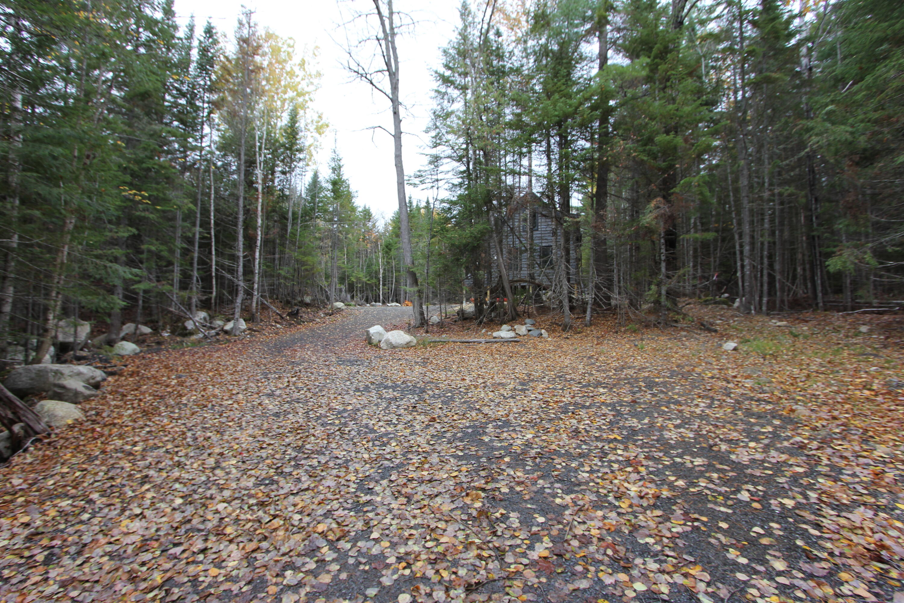 331 Birches Beach Road Oquossoc, ME 04964 - Photo 52 of 94 IMG_7833