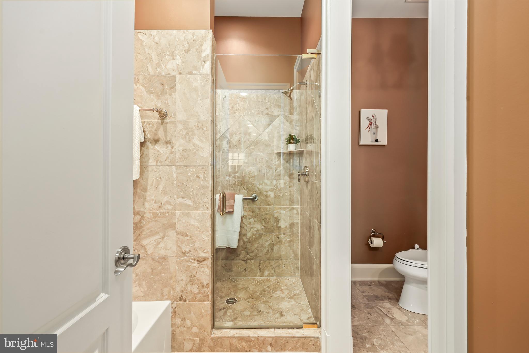 8340 Springhaven Garden Lane McLean, VA 22102 - Photo 30 of 76 a bathroom with a granite countertop shower and a toilet