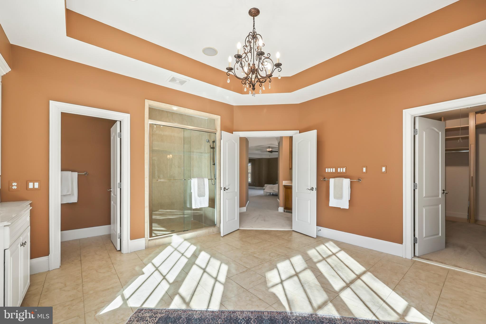 8340 Springhaven Garden Lane McLean, VA 22102 - Photo 39 of 76 a spacious en suite bathroom with a glass door shower and mirror