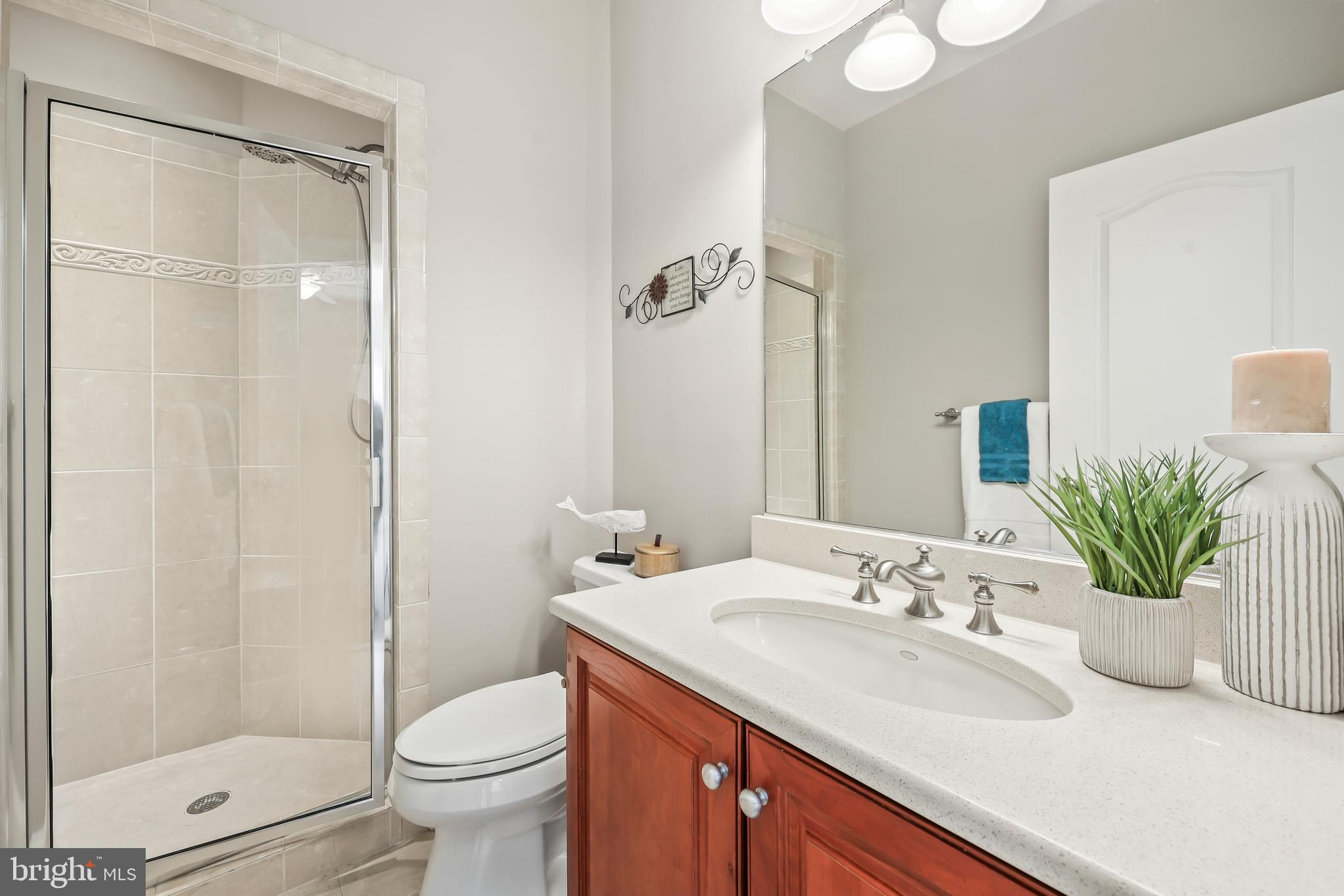 8340 Springhaven Garden Lane McLean, VA 22102 - Photo 62 of 76
